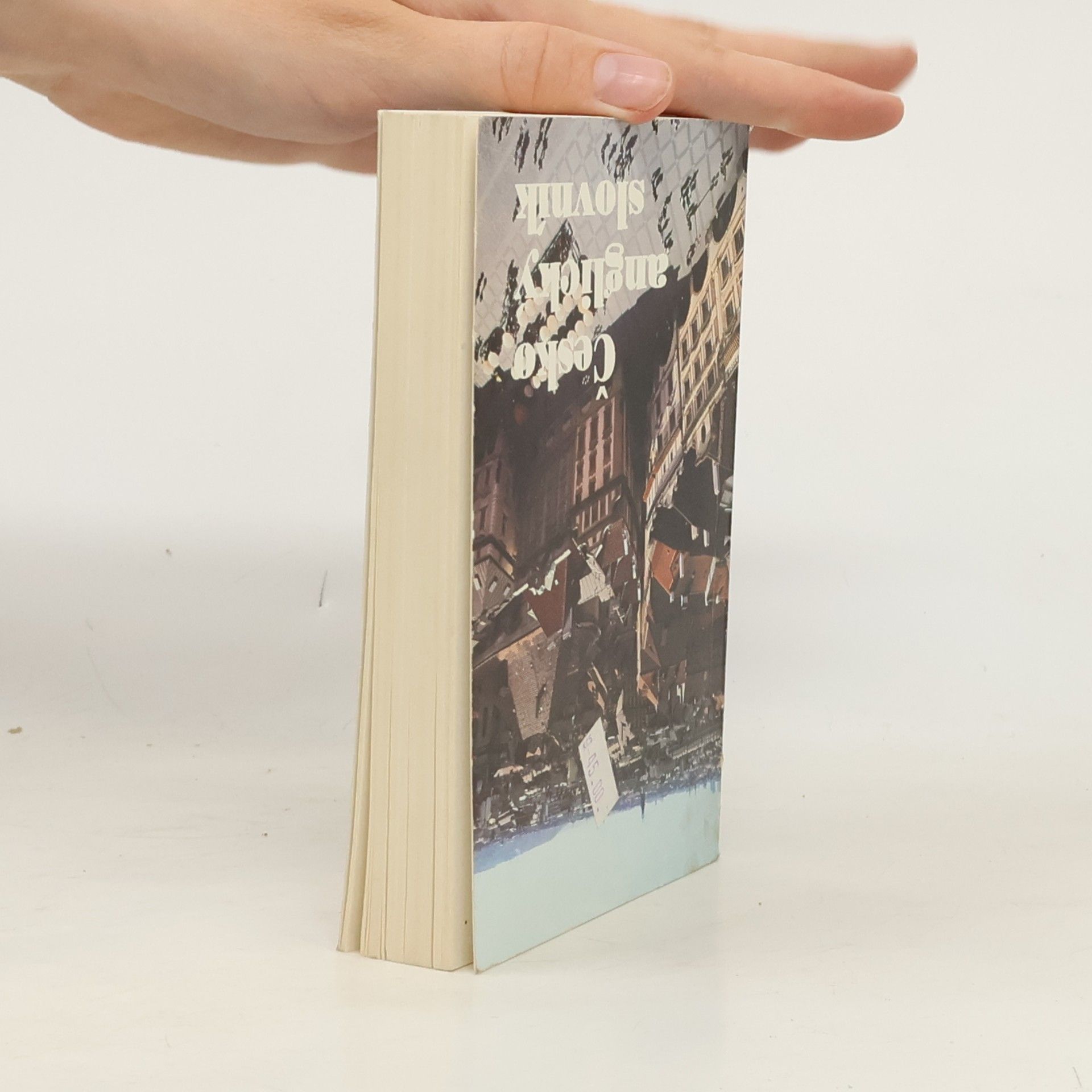 Autorenkollektiv Anglicko-český, česko-anglický slovník