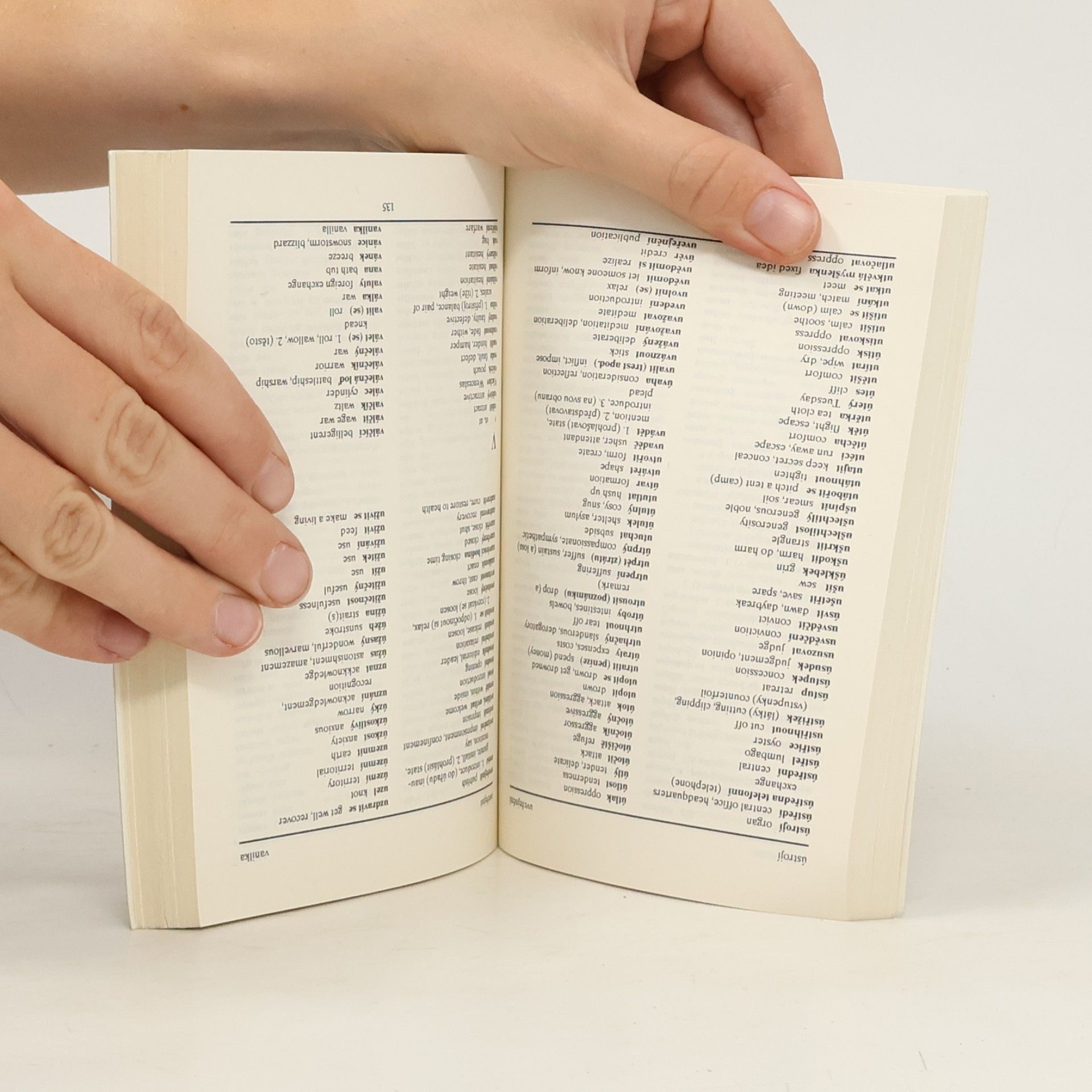 Autorenkollektiv Anglicko-český, česko-anglický slovník