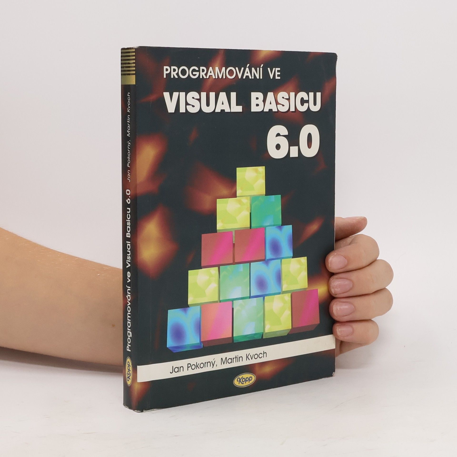 Programování ve Visual Basicu 6.0