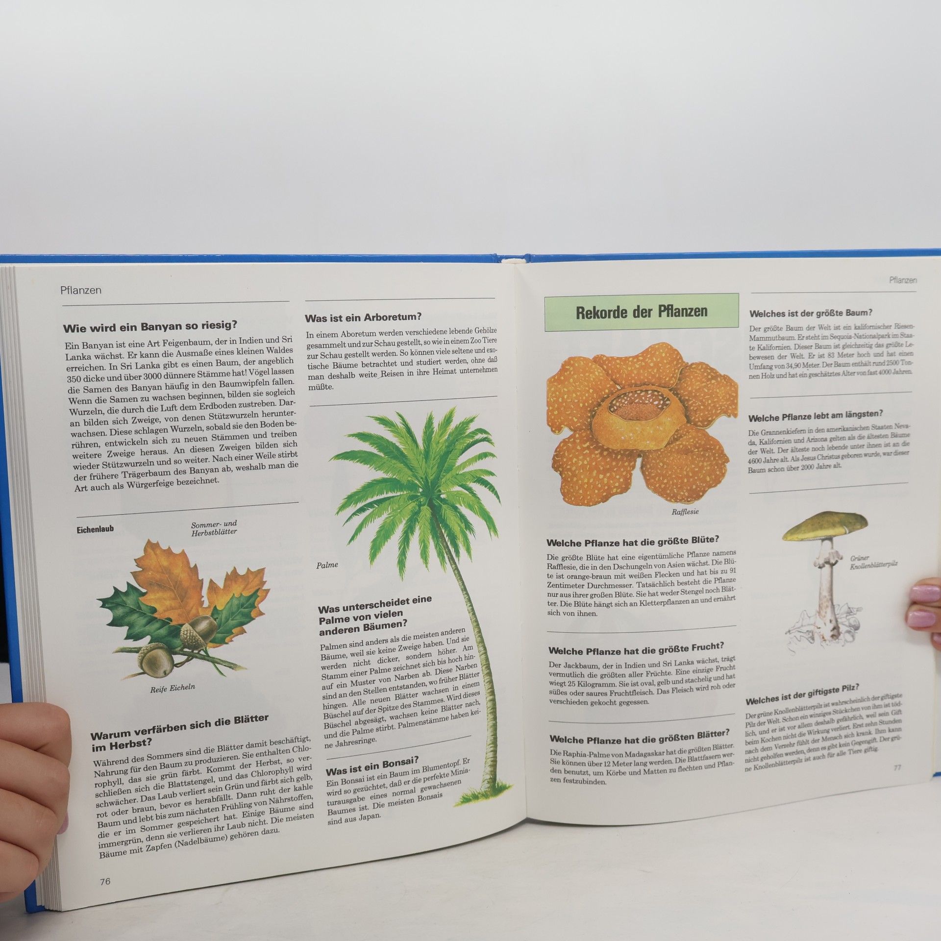 Neil Ardley Das grosse Buch der 1001 Fragen und Antworten