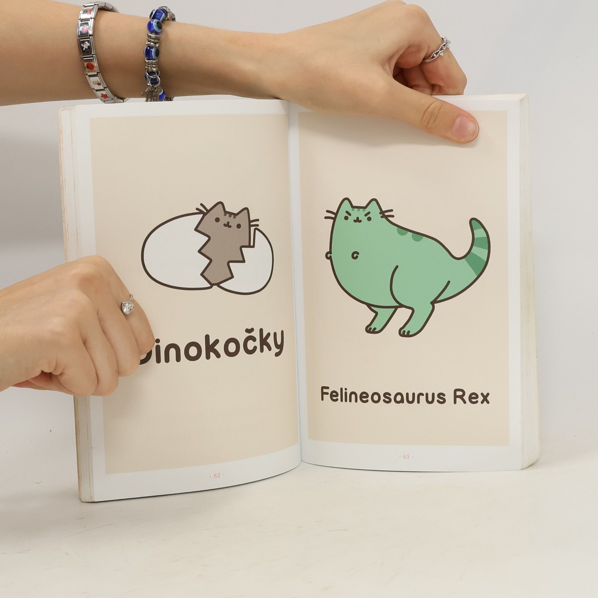 Claire Belton Pusheen. Já, košišta