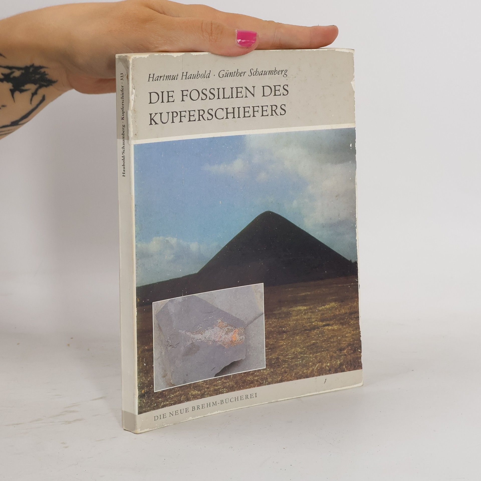 Günther Schaumberg Die Fossilien des Kupferschiefers