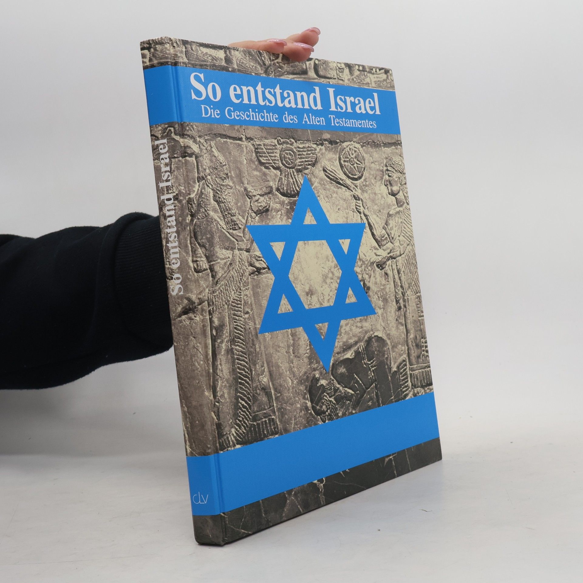 Auteurscollectief Die Geschichte der Bibel