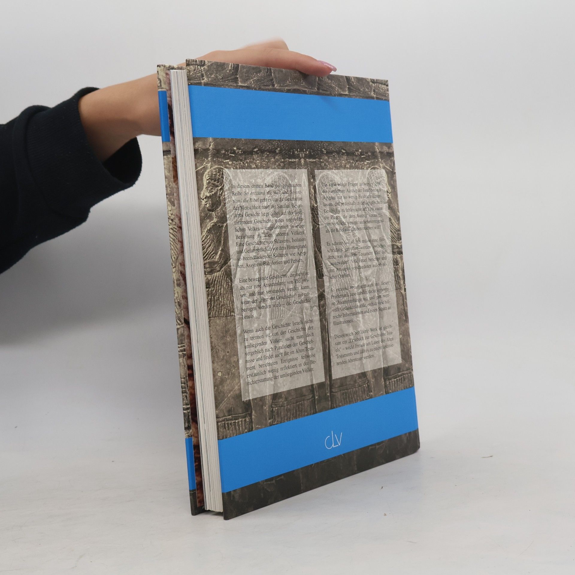 Auteurscollectief Die Geschichte der Bibel