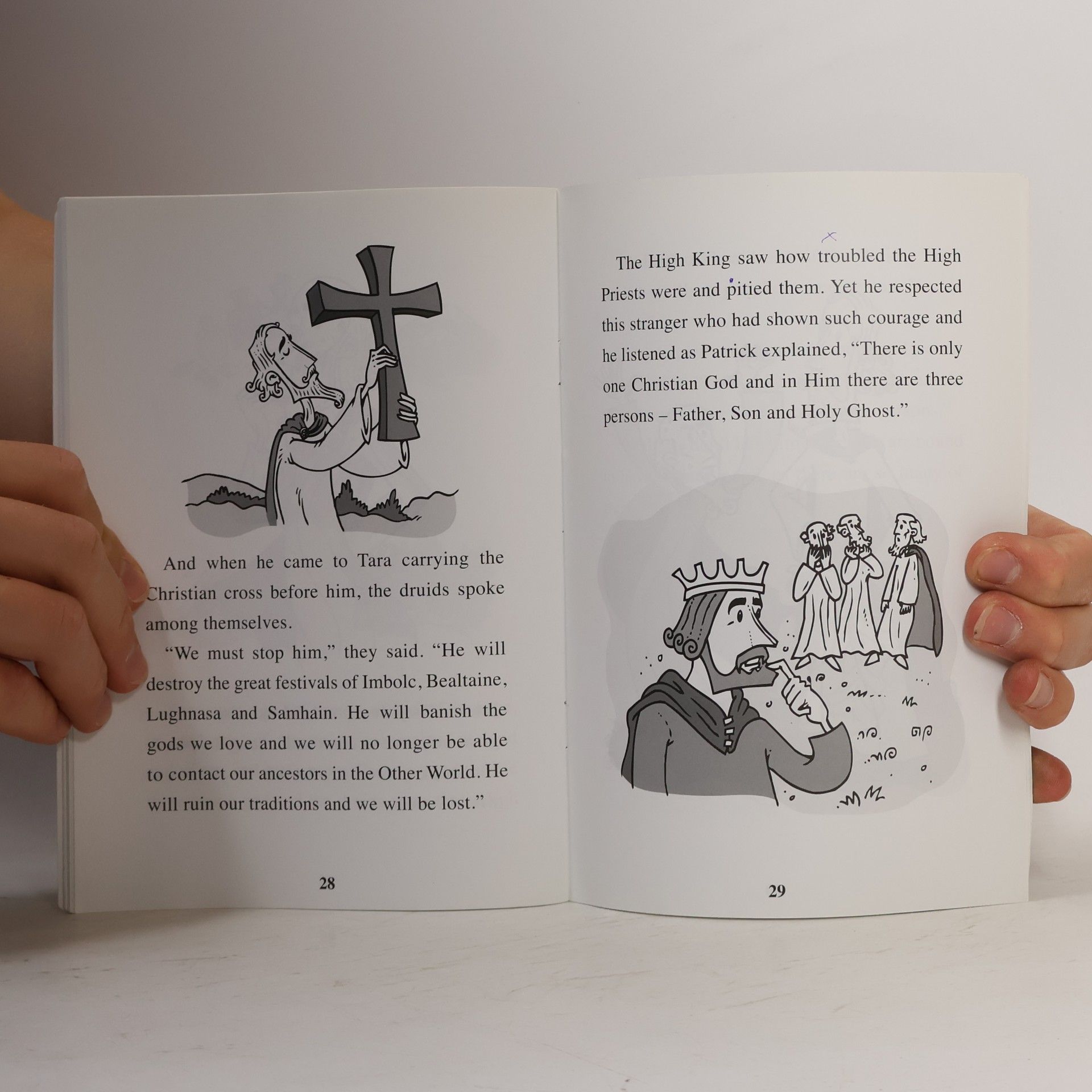 Ann Carroll Ireland's Best Known Stories: The Story of Saint Patrick