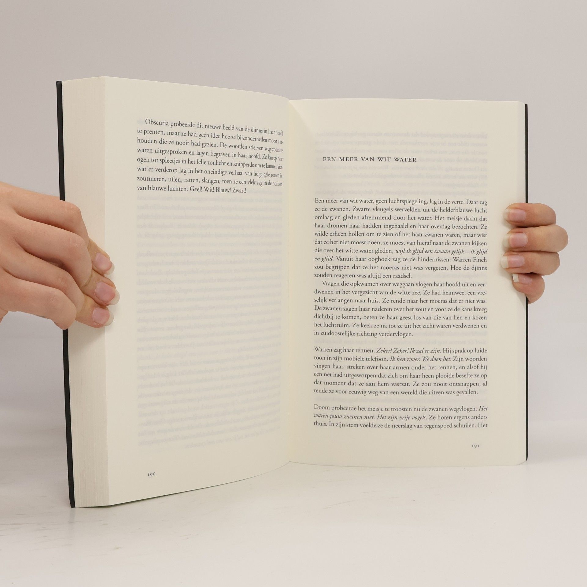 Alexis Wright Het boek van de zwaan