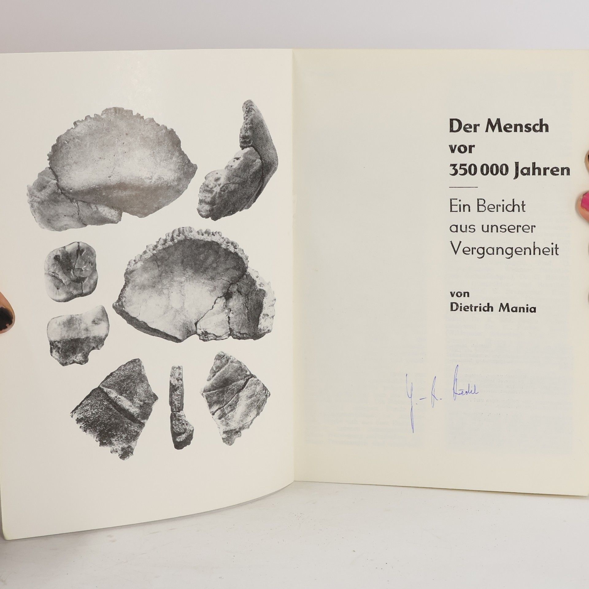 Dietrich Mania Der Mensch vor 350000 Jahren