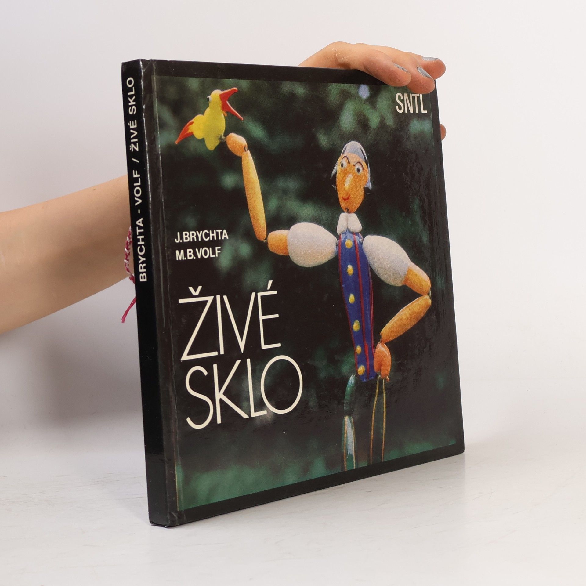 Jaroslav Brychta Živé sklo