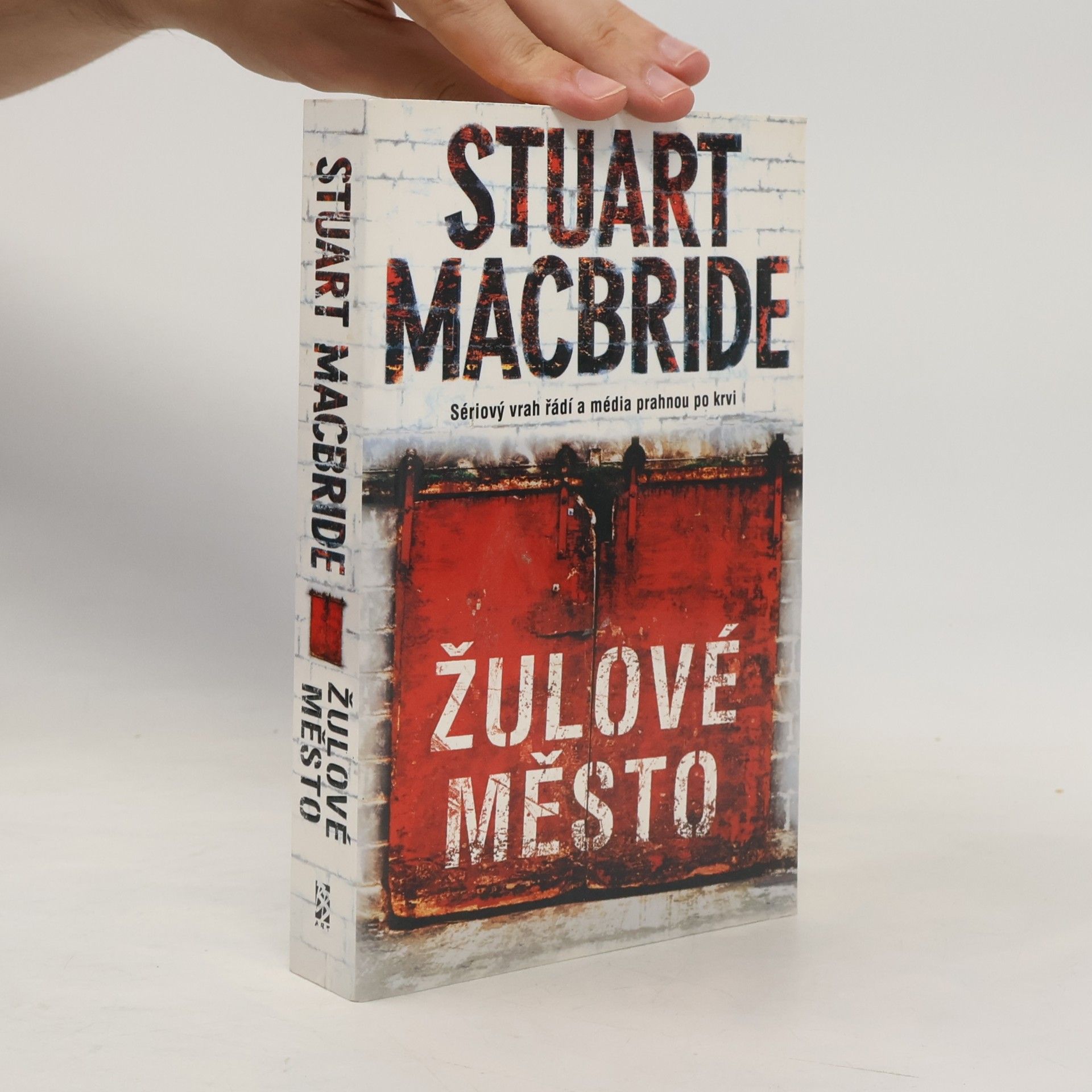 Stuart Macbride Žulové město