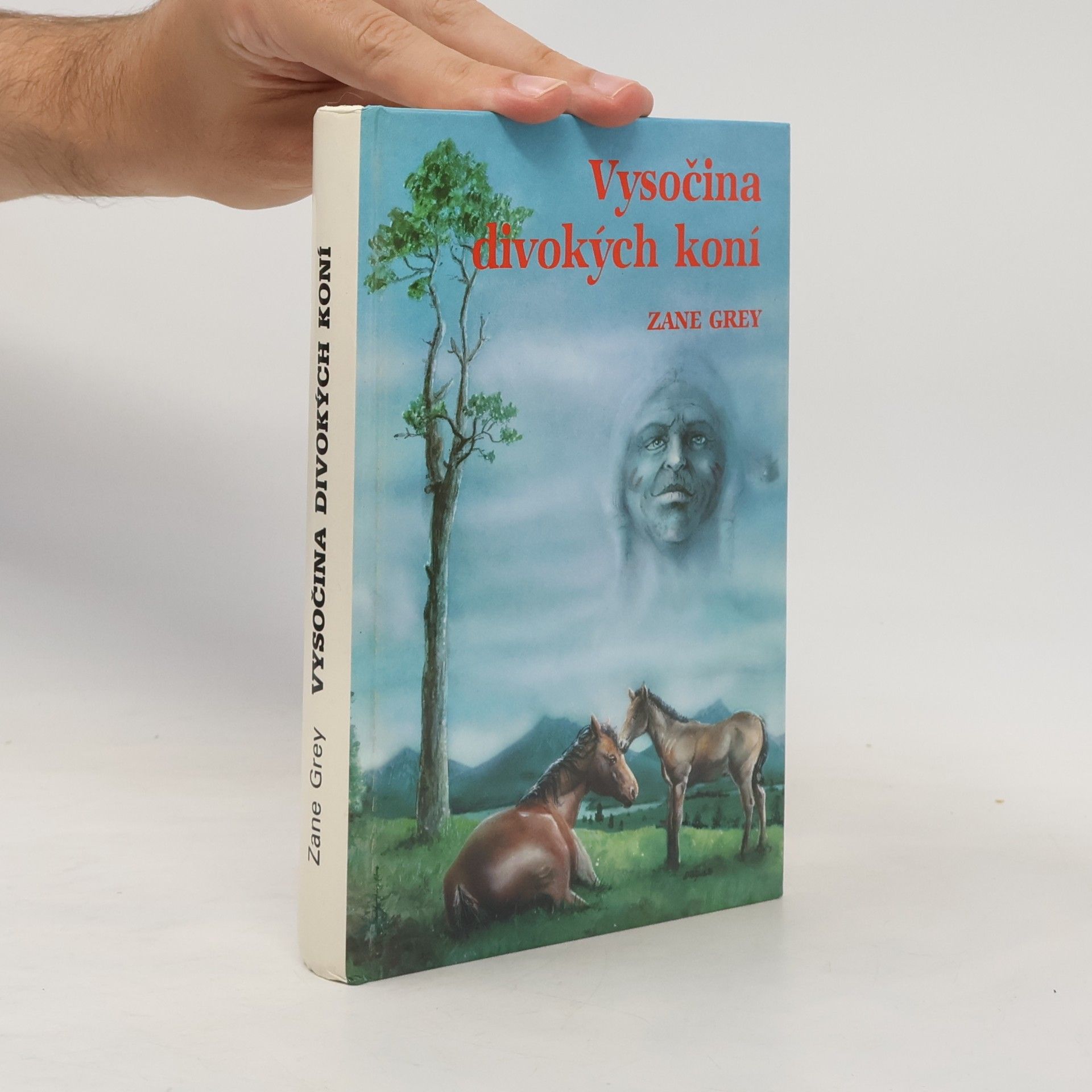Josef Vorel Vysočina divokých koní