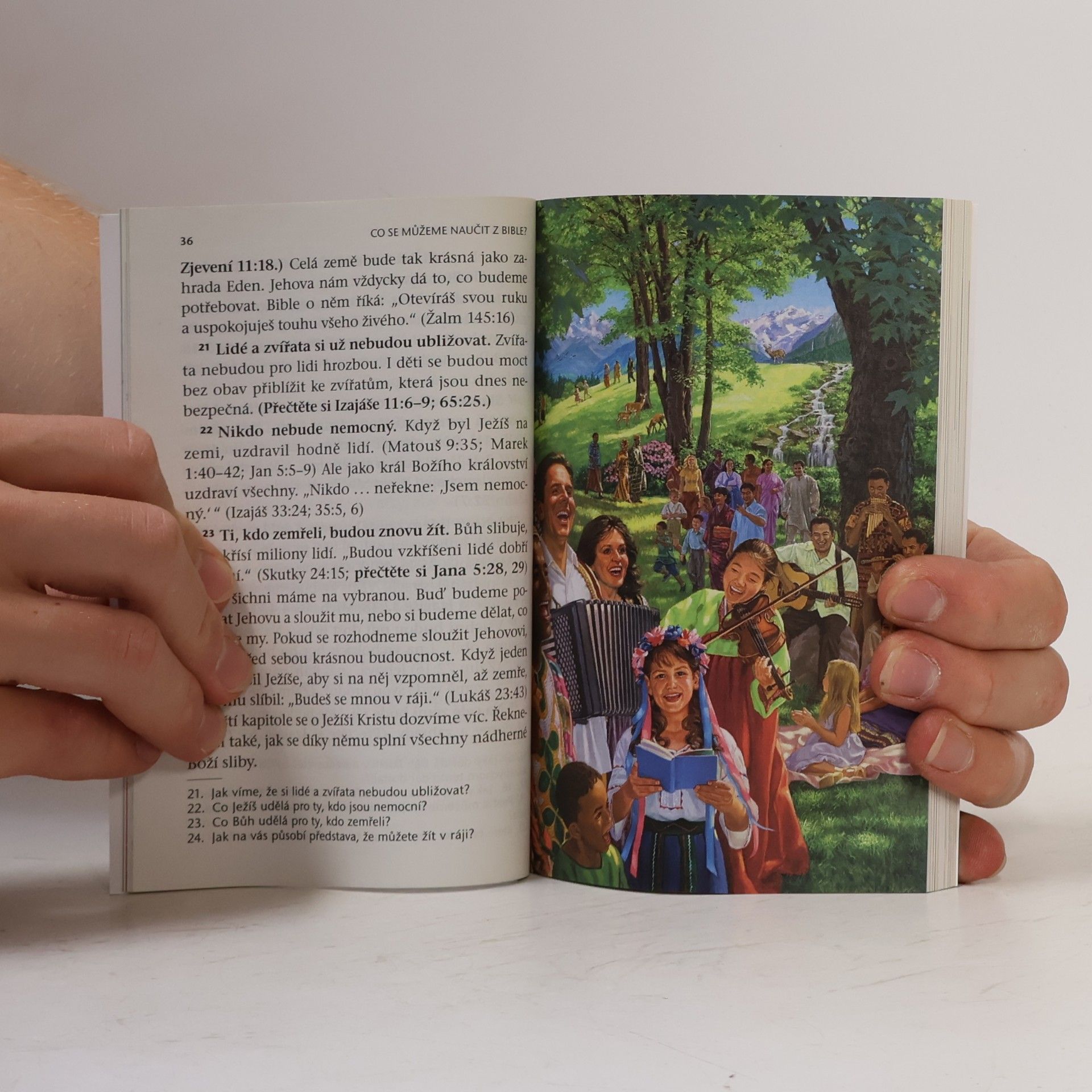 Kolektiv autorů Co se můžeme naučit z Bible?