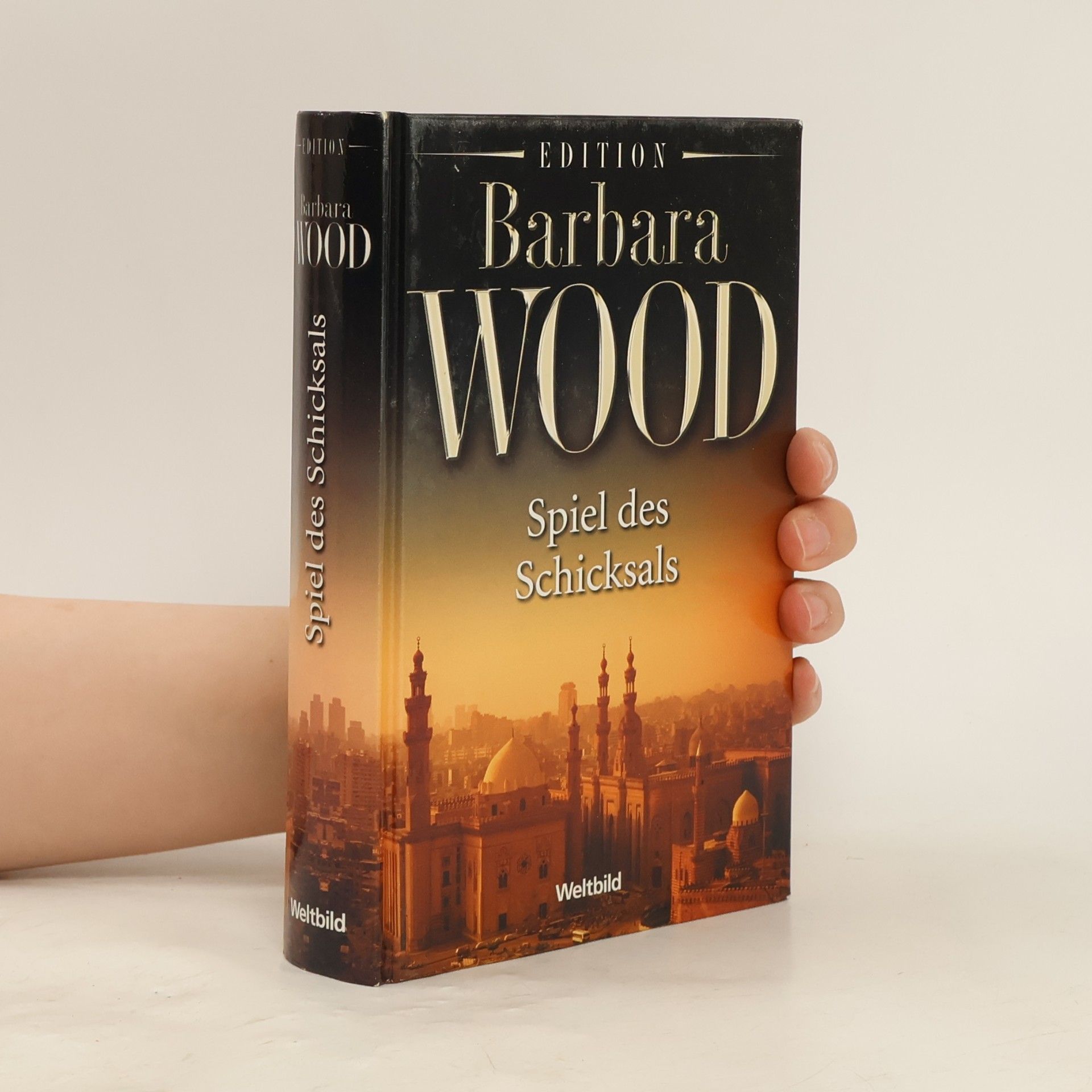 Barbara Wood Spiel des Schicksals