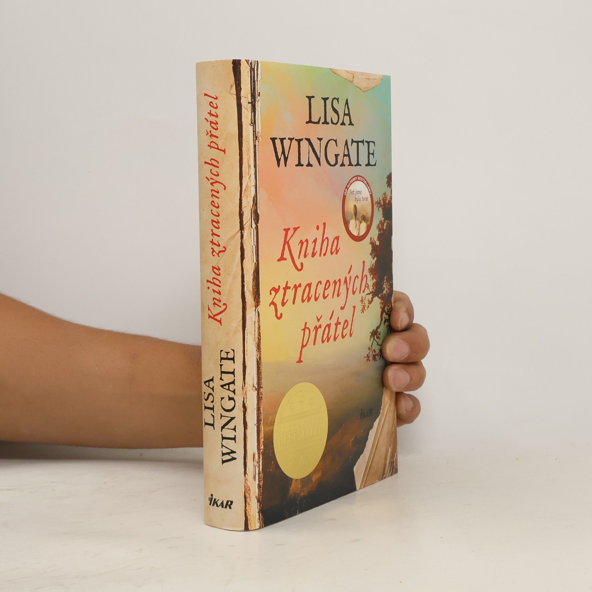 Lisa Wingate Kniha ztracených přátel
