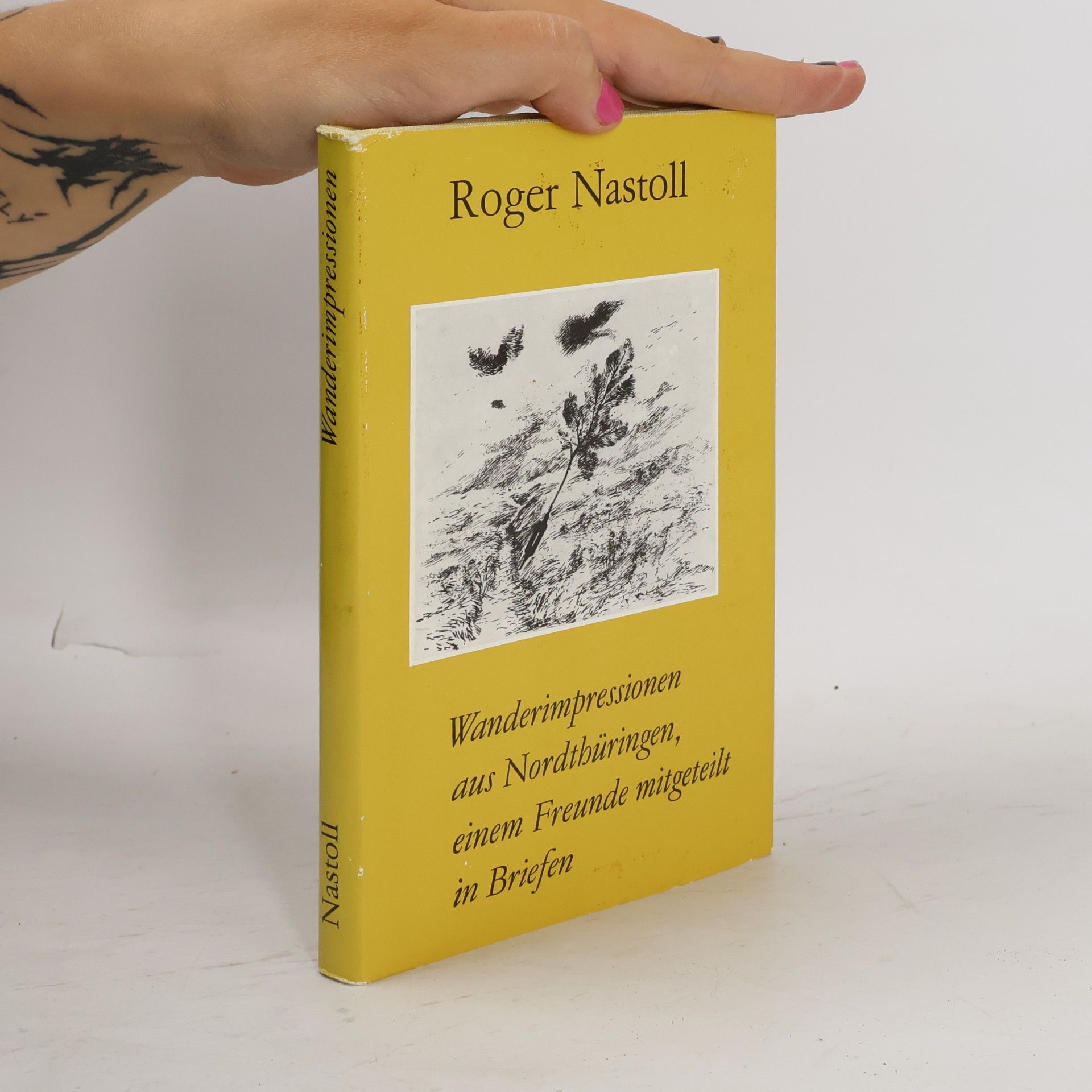 Roger Nastoll Wanderimpressionen aus Nordthüringen, einem Freunde mitgeteilt in Briefen
