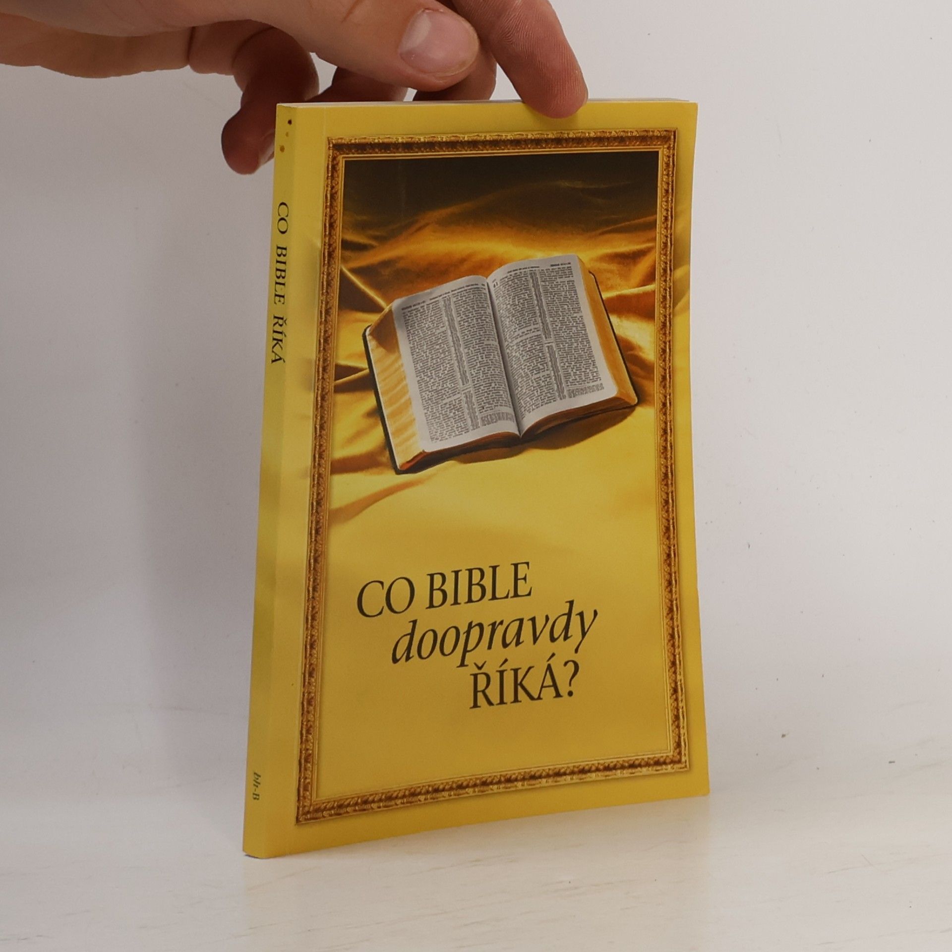 Collectif d'auteurs Co Bible doopravdy říká?