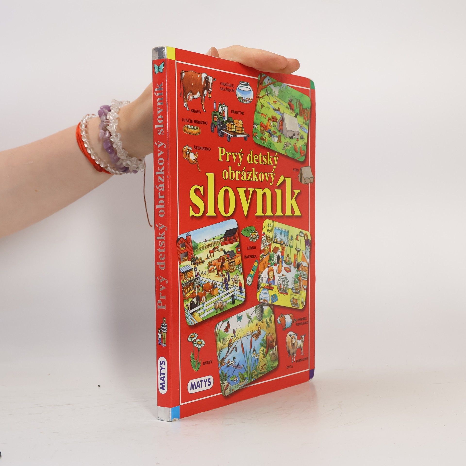 AA.VV. Prvý detský obrázkový slovník