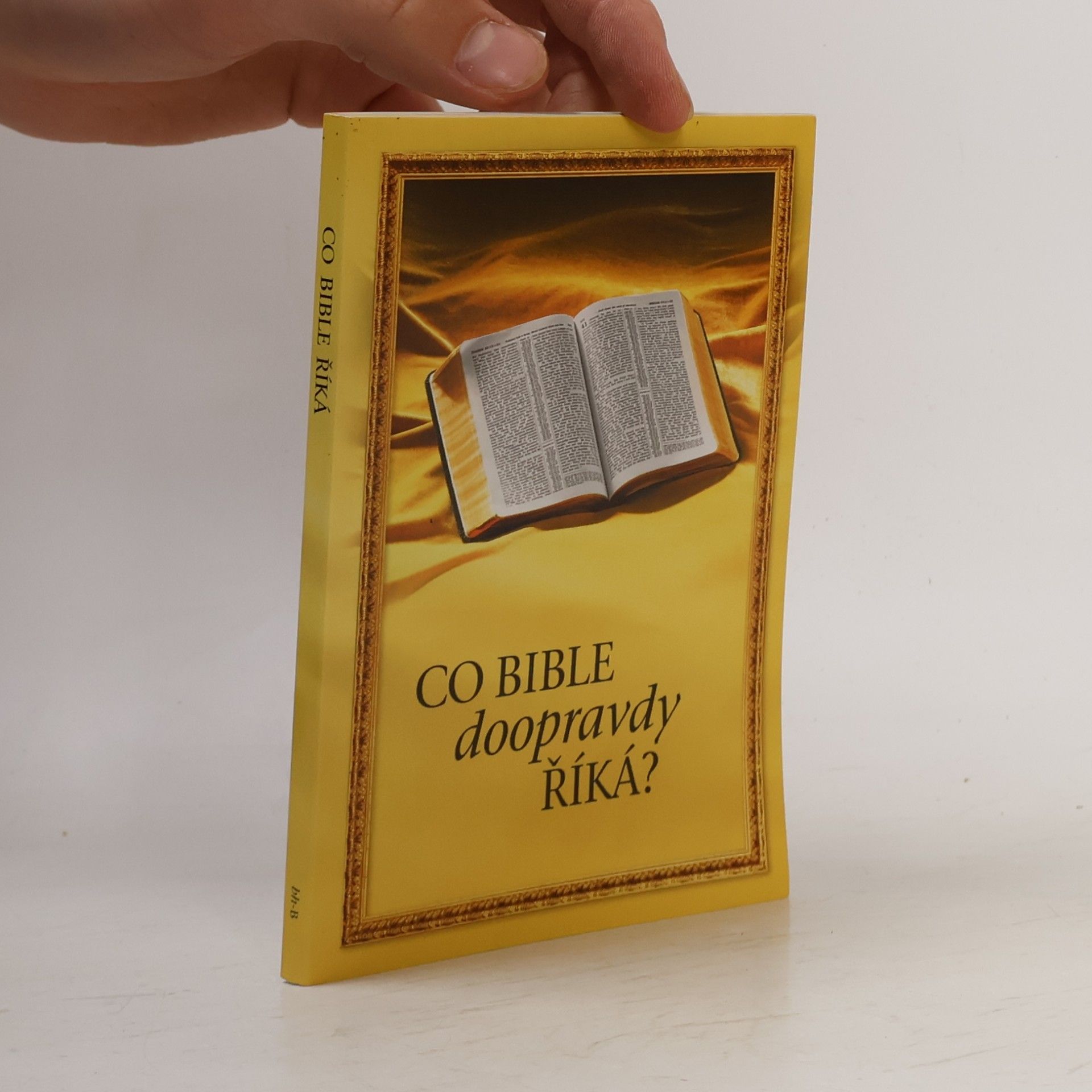Kolektiv autorů Co bible doopravdy říká?