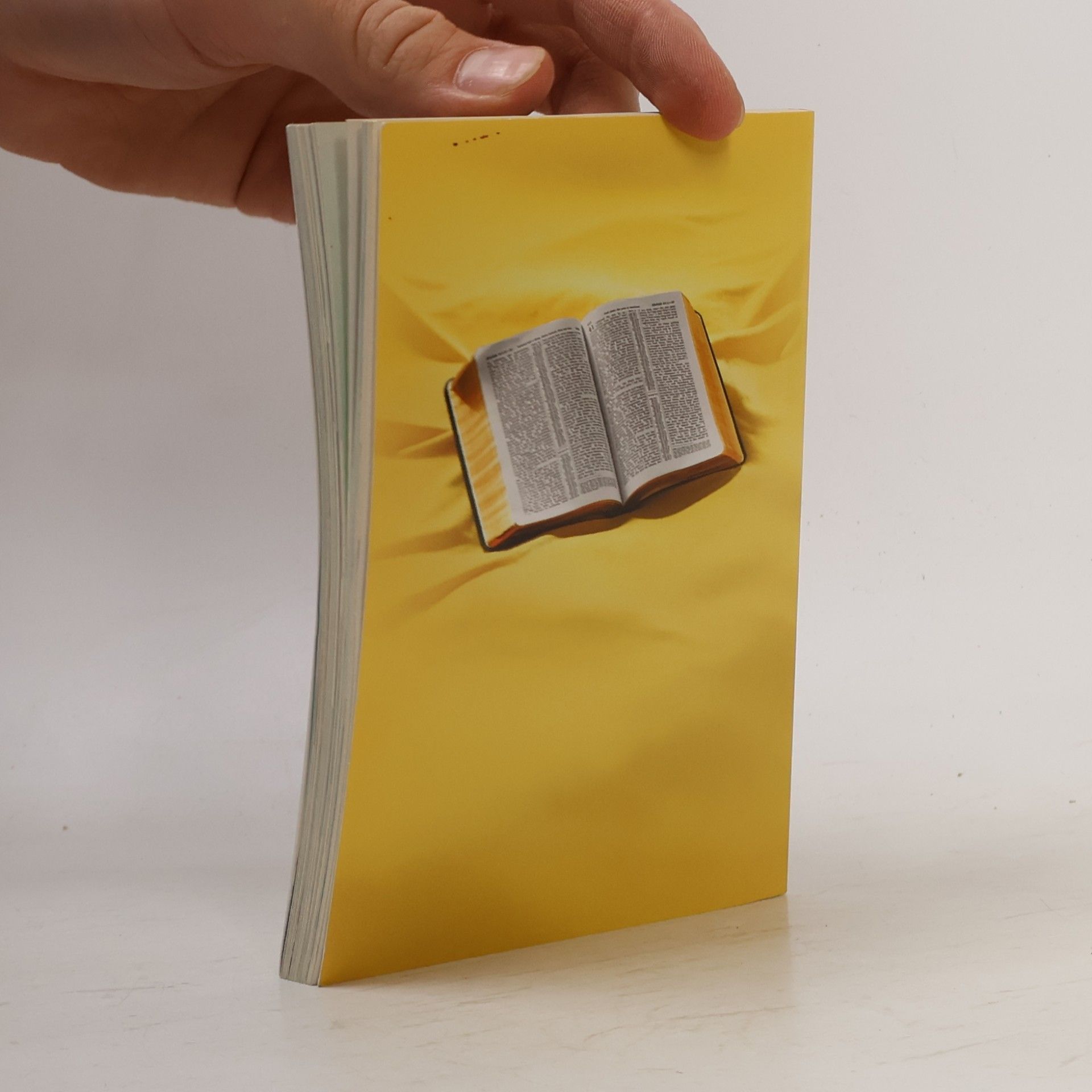 Kolektiv autorů Co bible doopravdy říká?
