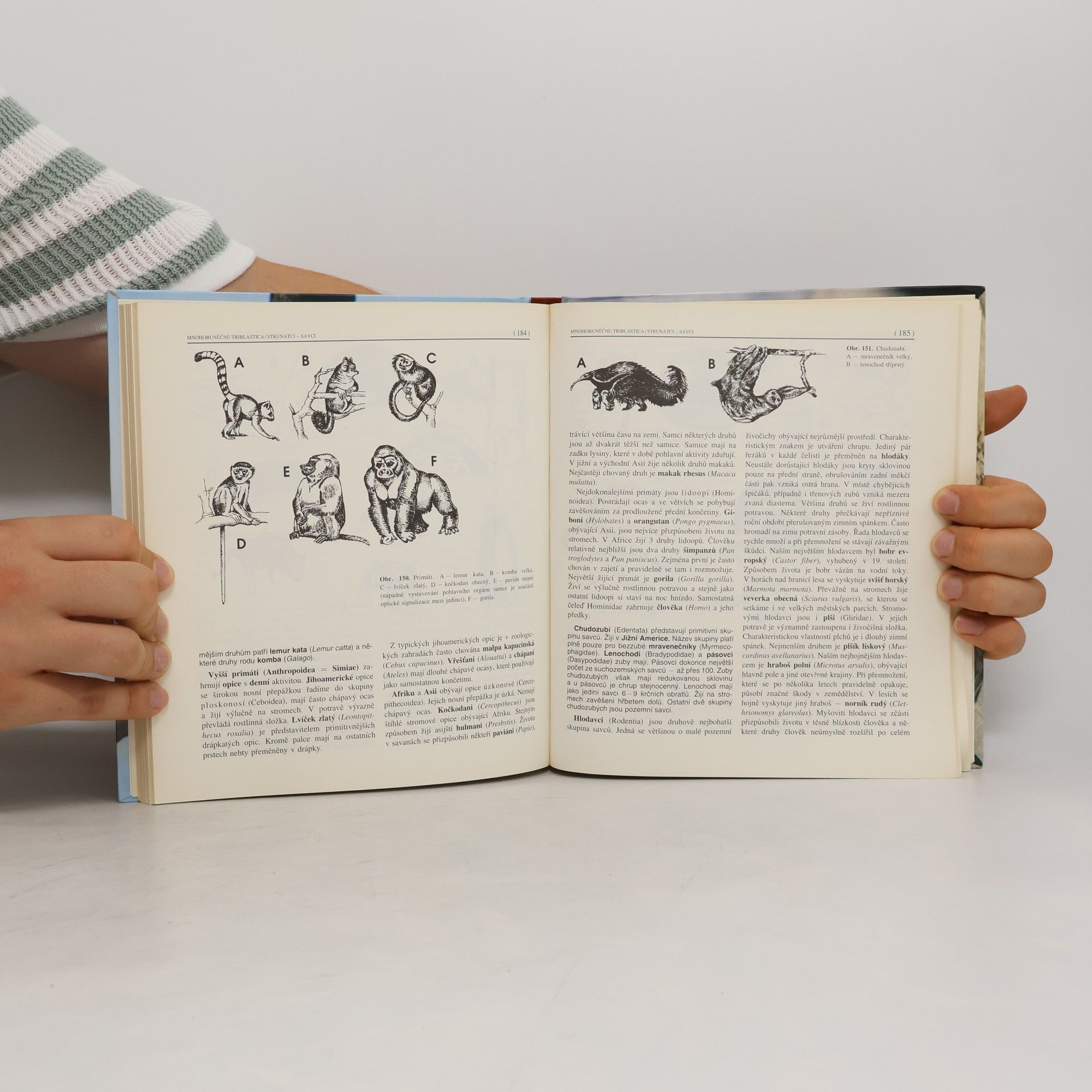 Miroslav Papáček Zoologie