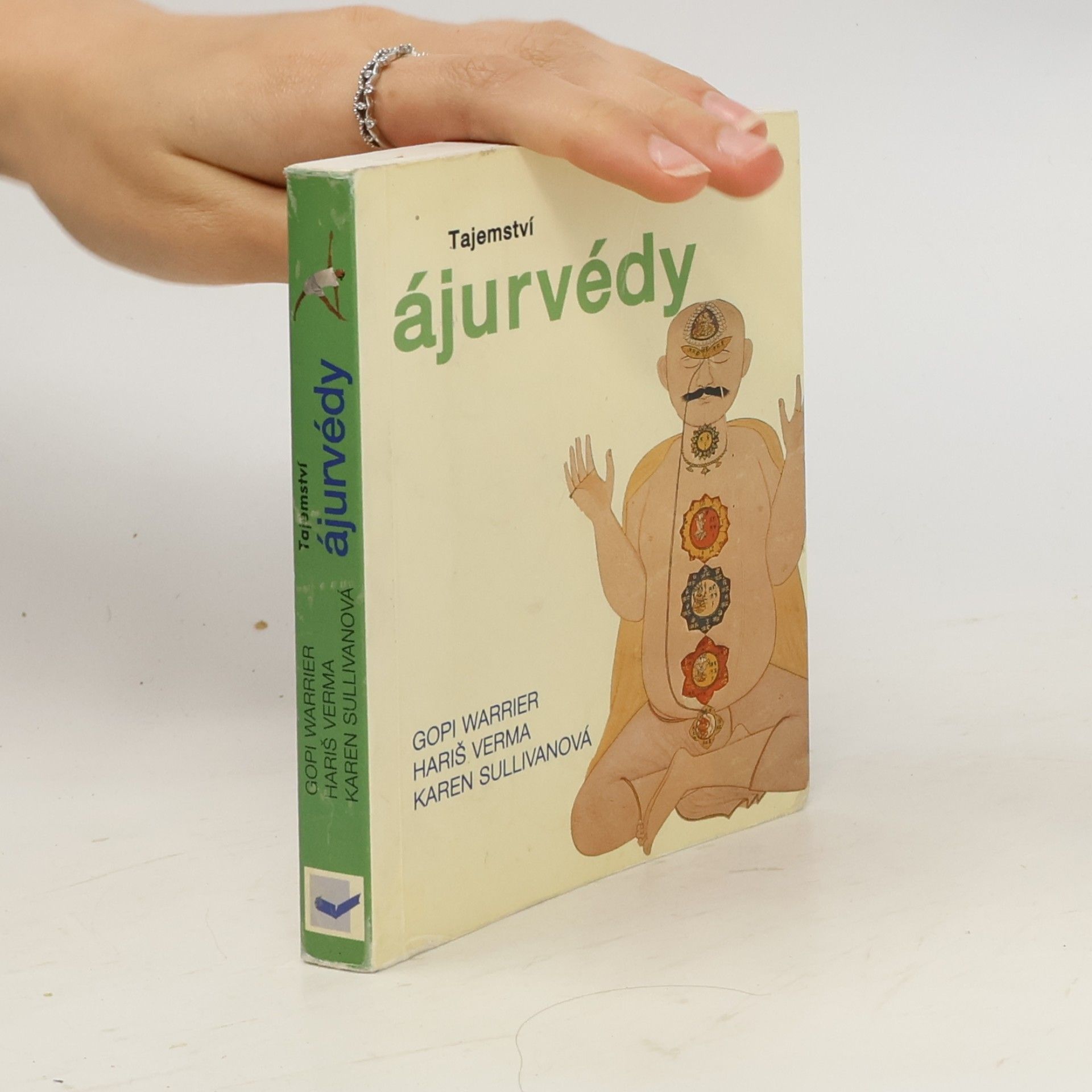 Karen Sullivan Tajemství ájurvédy