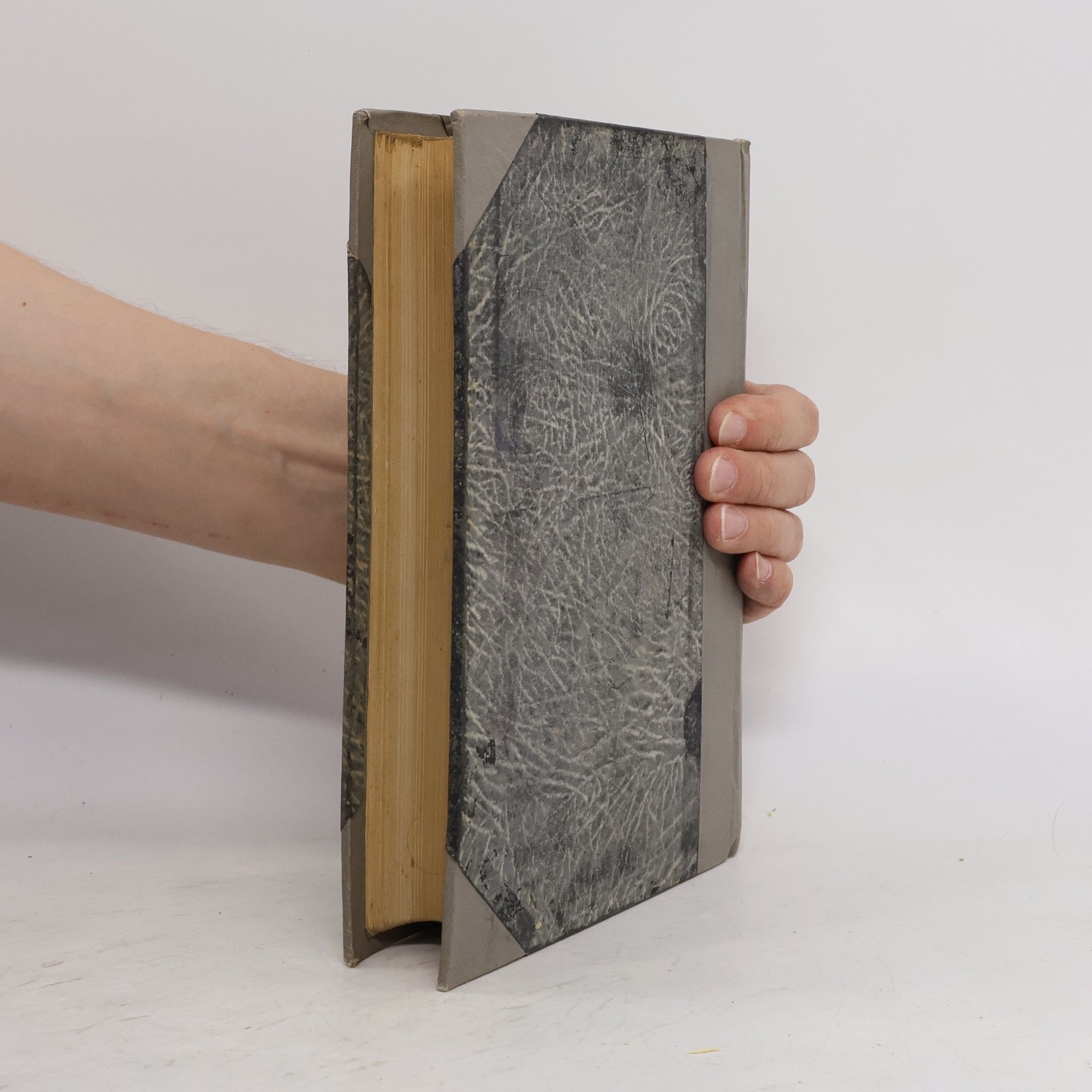 Jiří Janda Velký ilustrovaný přírodopis všech tří říší VI.: Mineralogie
