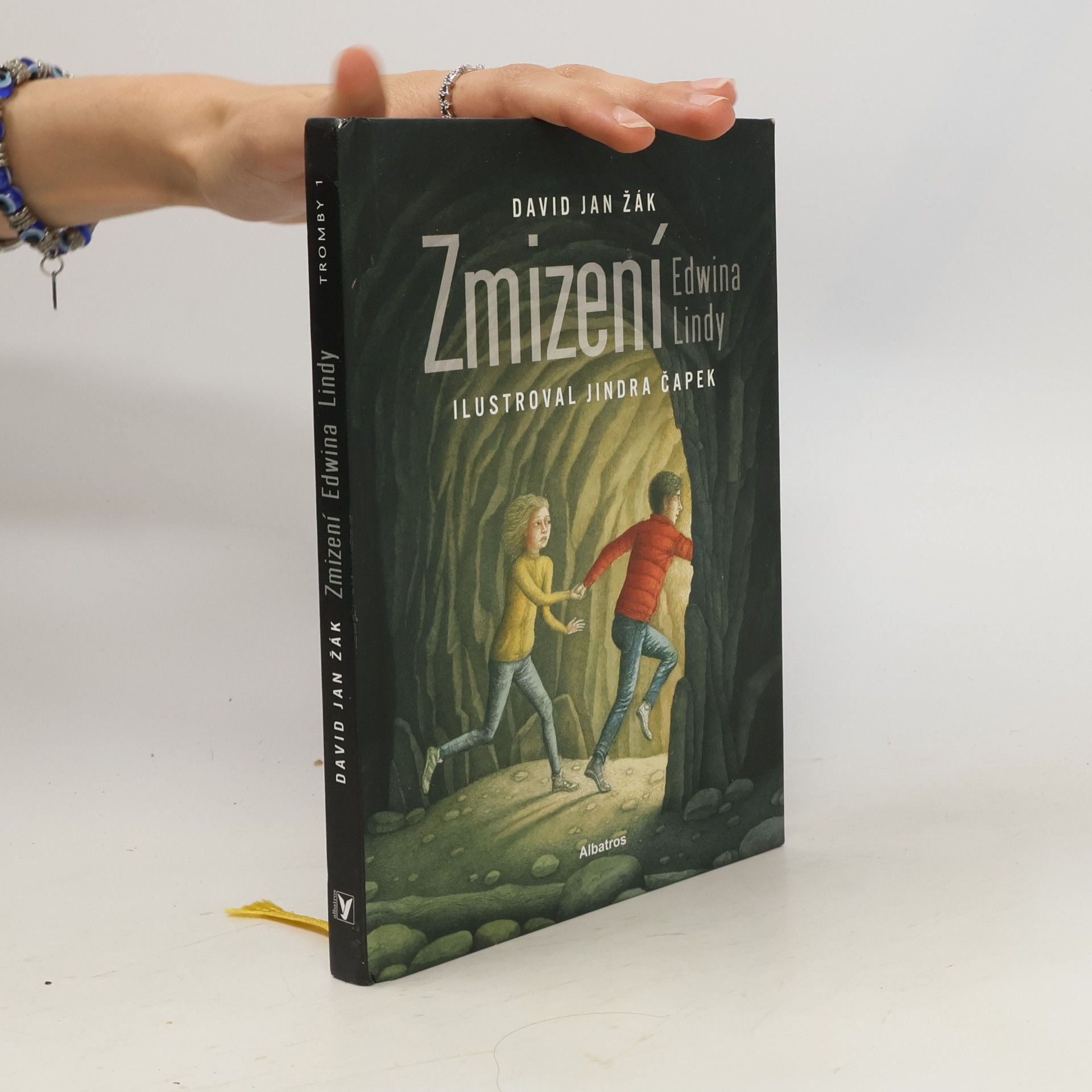 David Jan Žák Zmizení Edwina Lindy