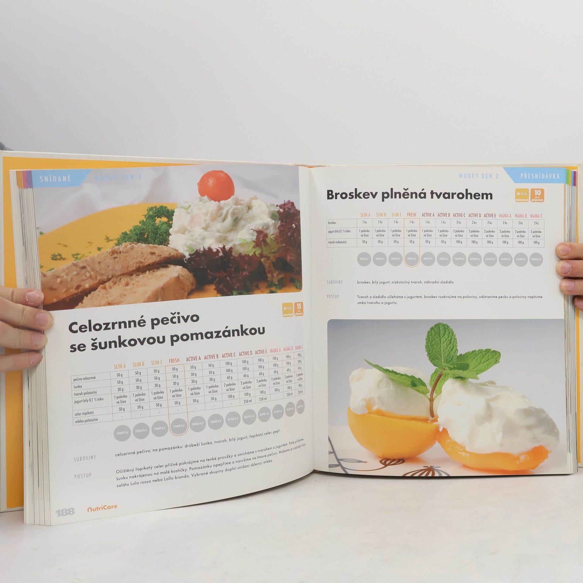 Autorenkollektiv Tlustá kniha nejen o hubnutí