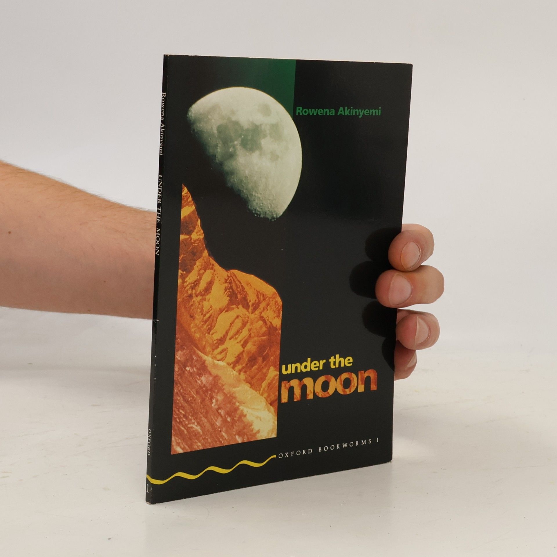 Rowena Akinyemi Under the Moon