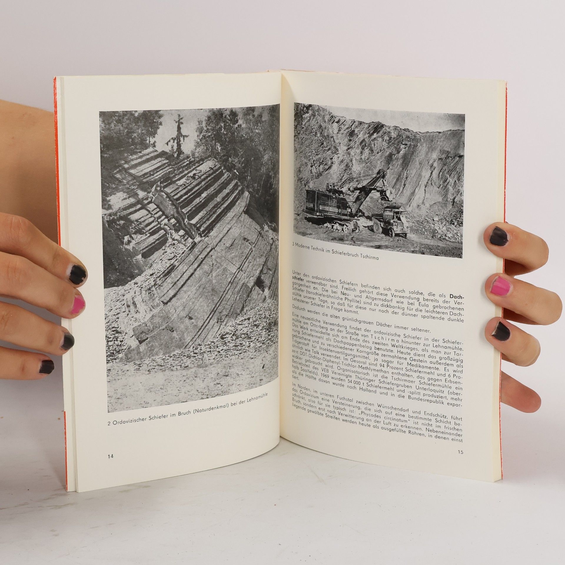 Erich Martin Kleine Geologie des Kreises Greiz