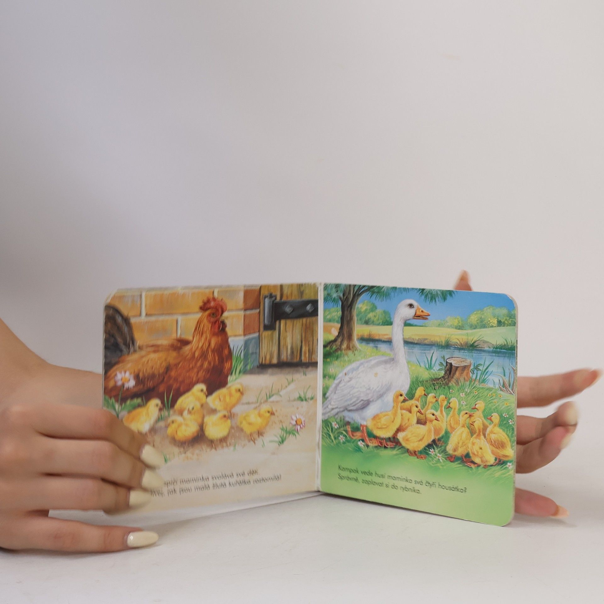 Various authors Mláďátka a jejich maminky