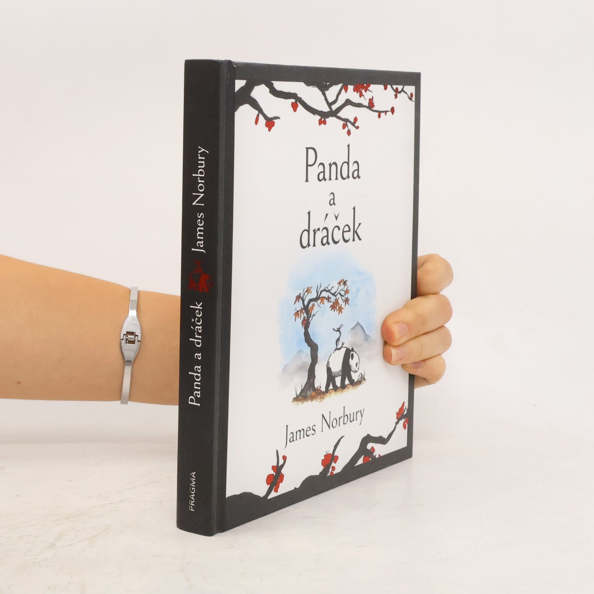James Norbury Panda a dráček