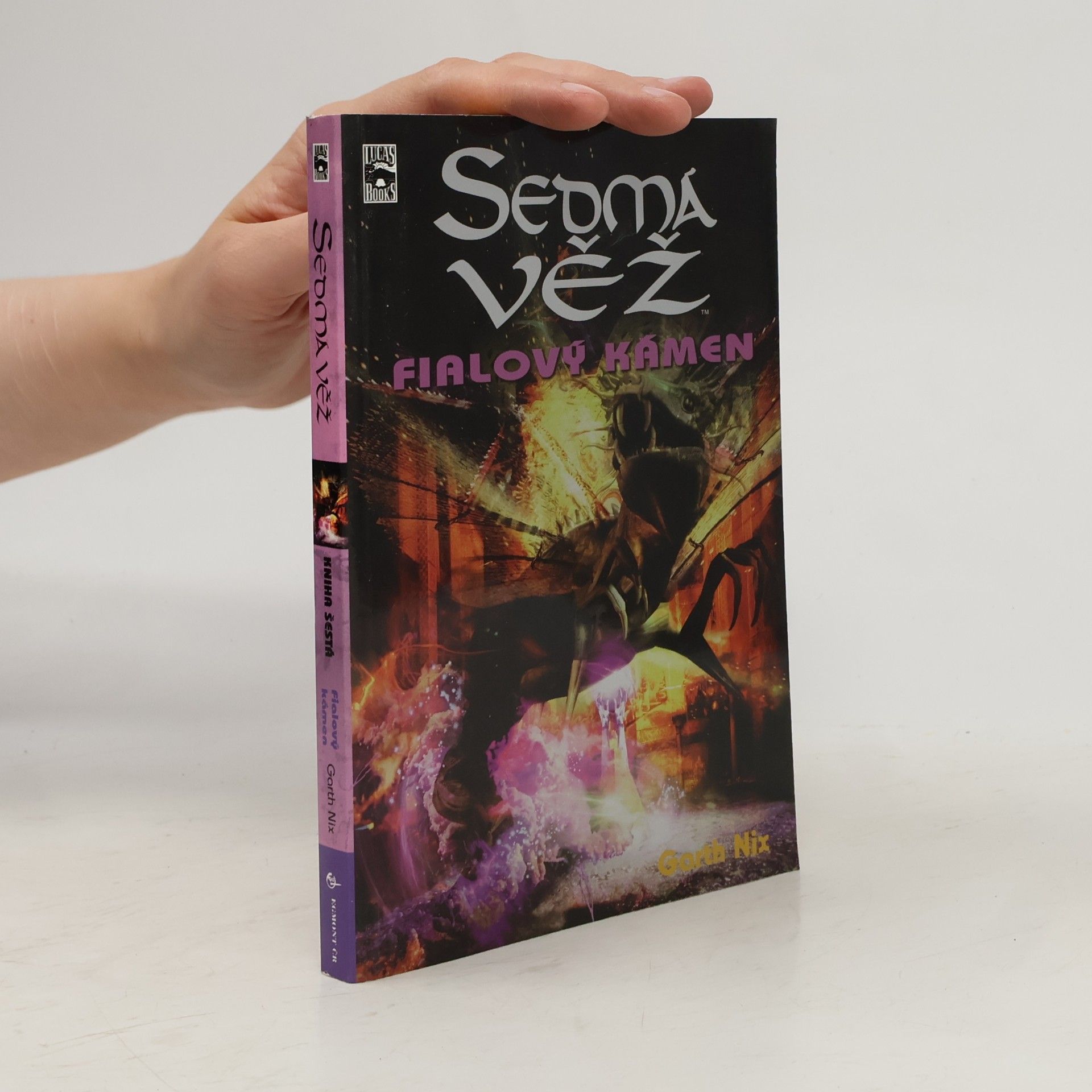 Garth Nix Fialový kámen