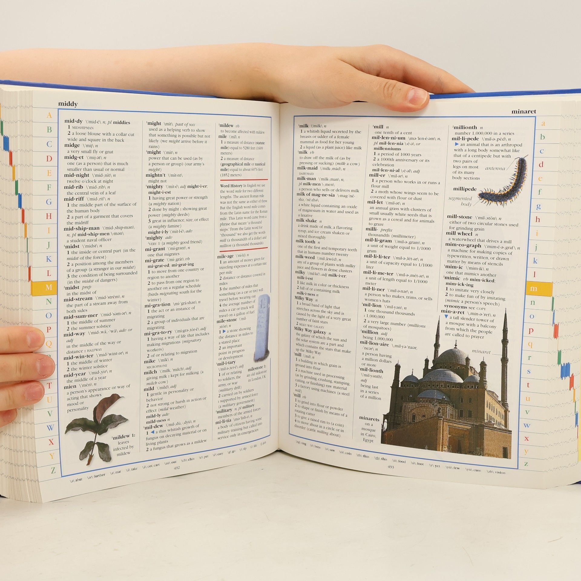 Dorling Kindersley Merriam-Webster Children's Dictionary