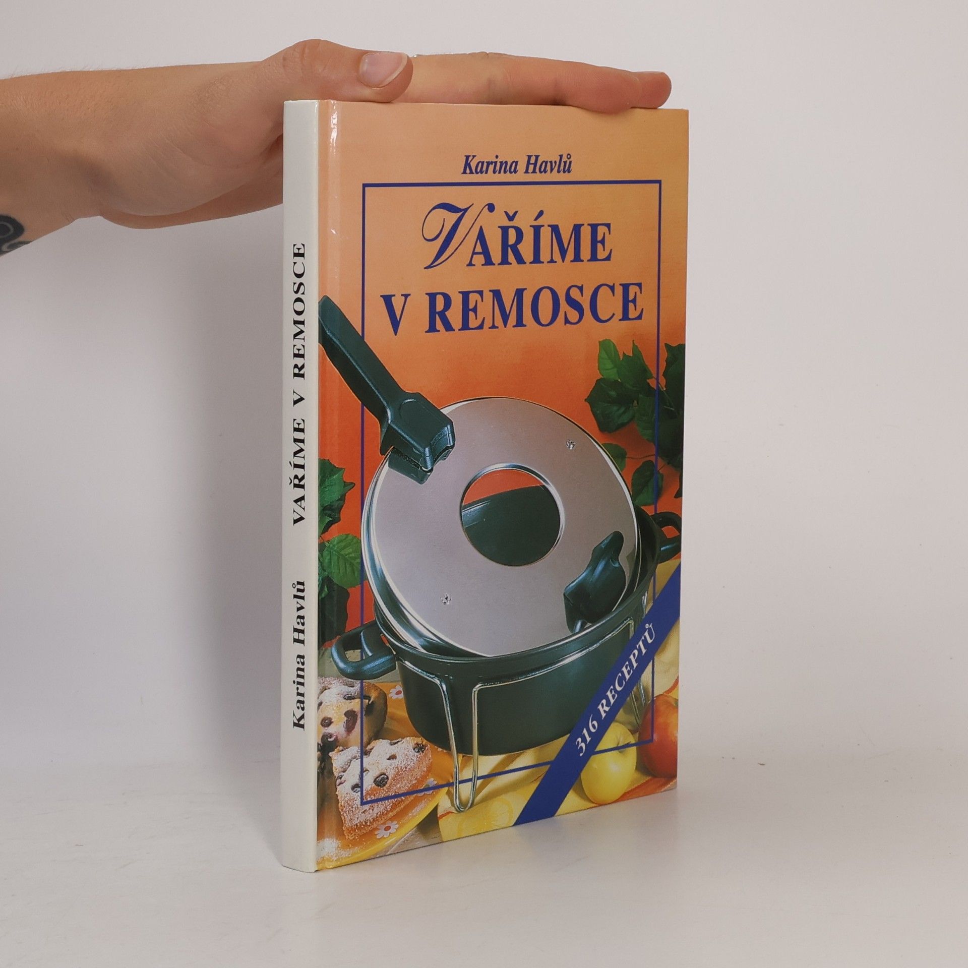 Karina Havlů Vaříme v remosce : 316 receptů