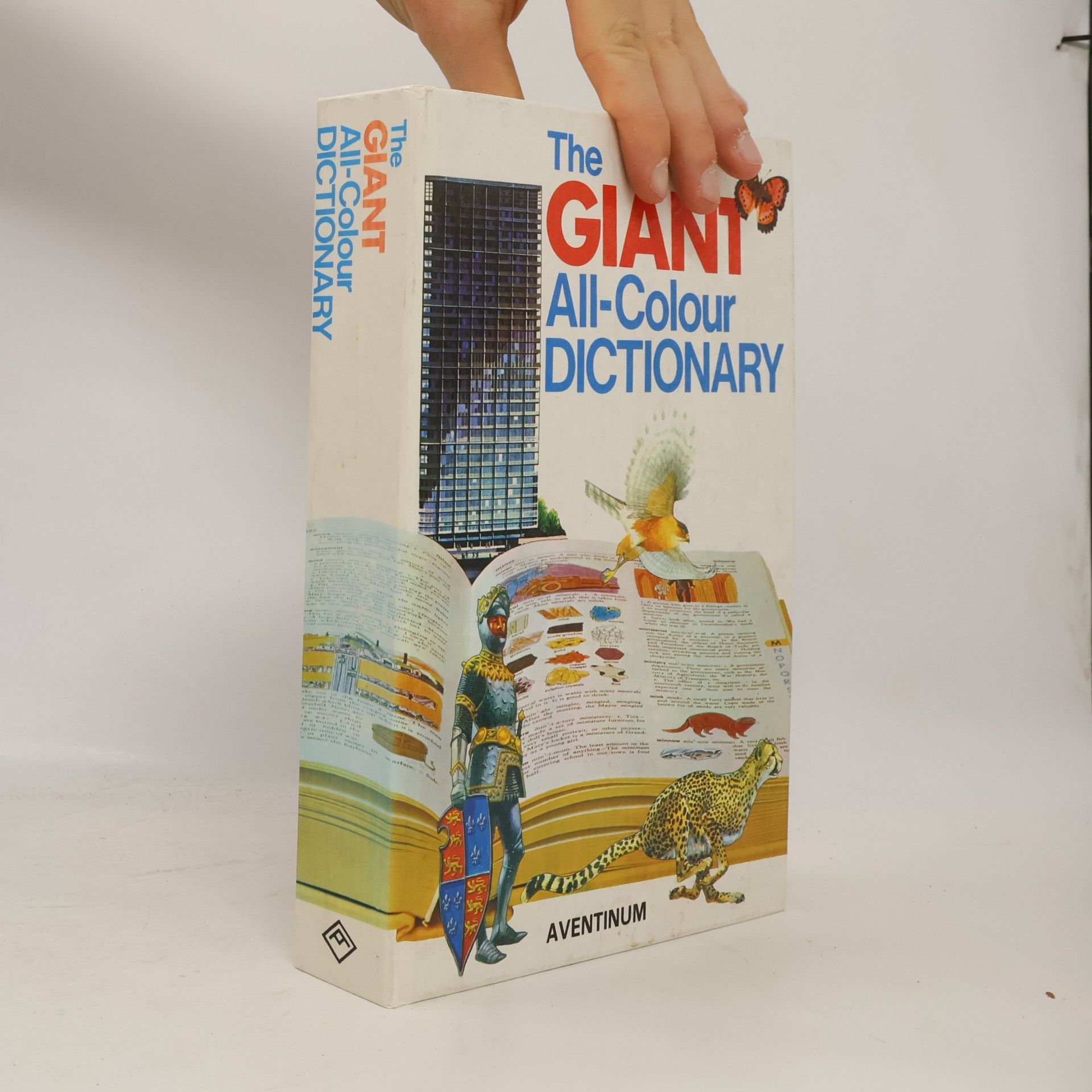 Stuart A. Courtis The Giant All-Colour Dictionary