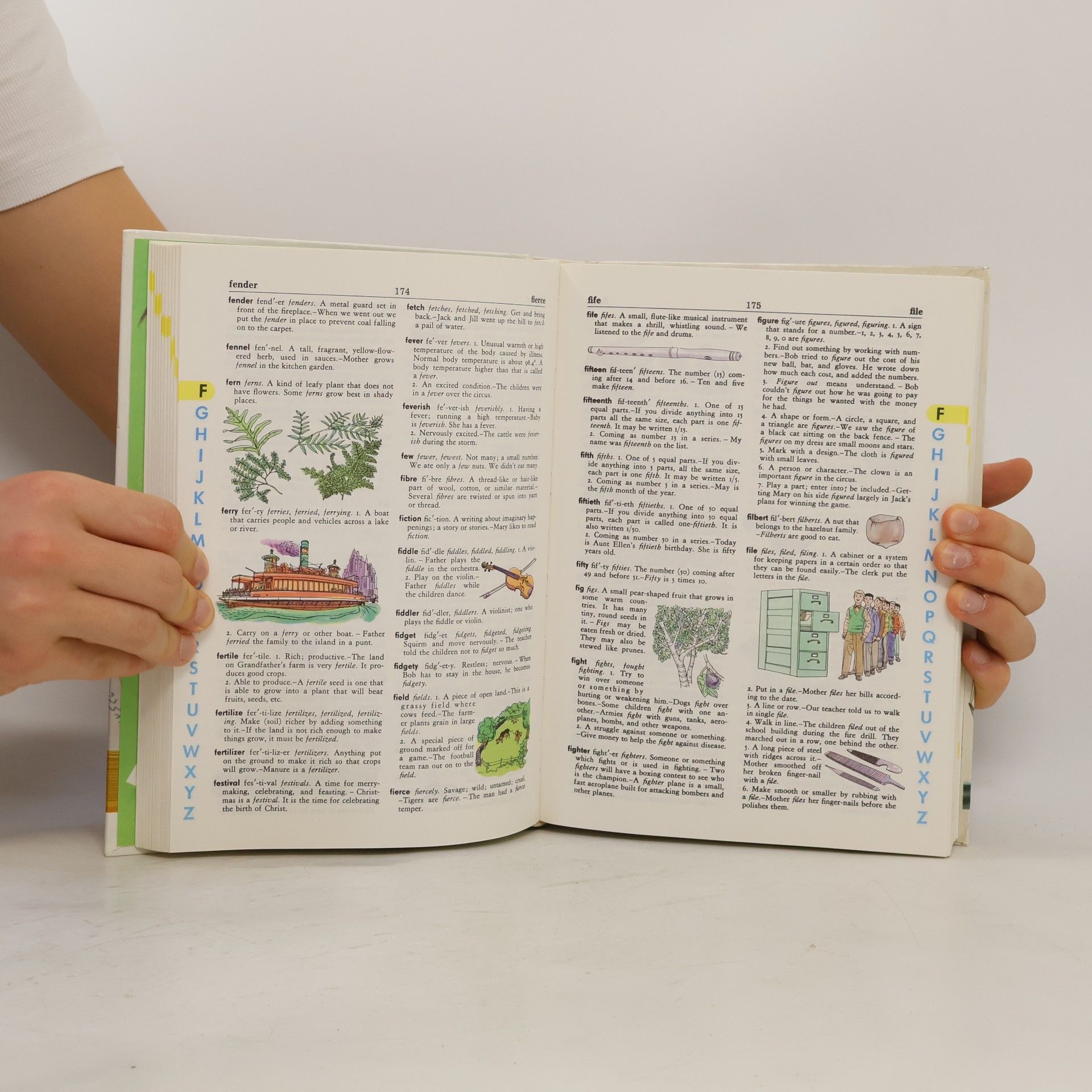 Stuart A. Courtis The Giant All-Colour Dictionary