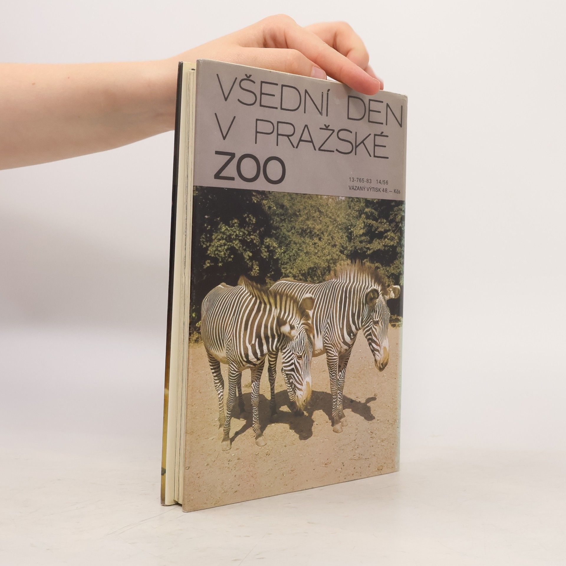 Zdeněk Veselovský Všední den v pražské ZOO