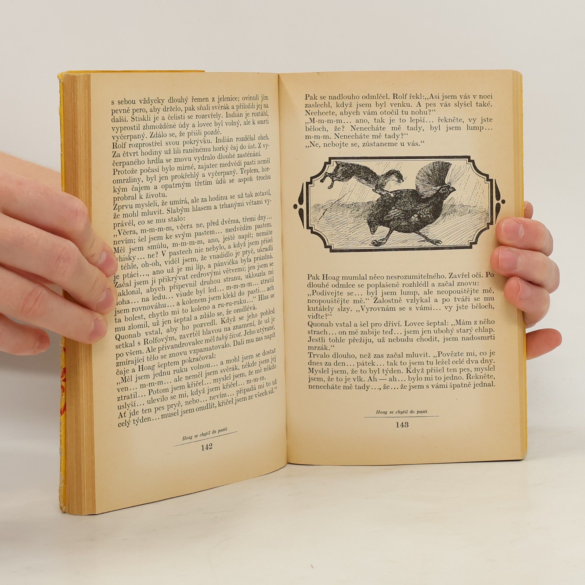 Ernest Thompson Seton Rolf Zálesák