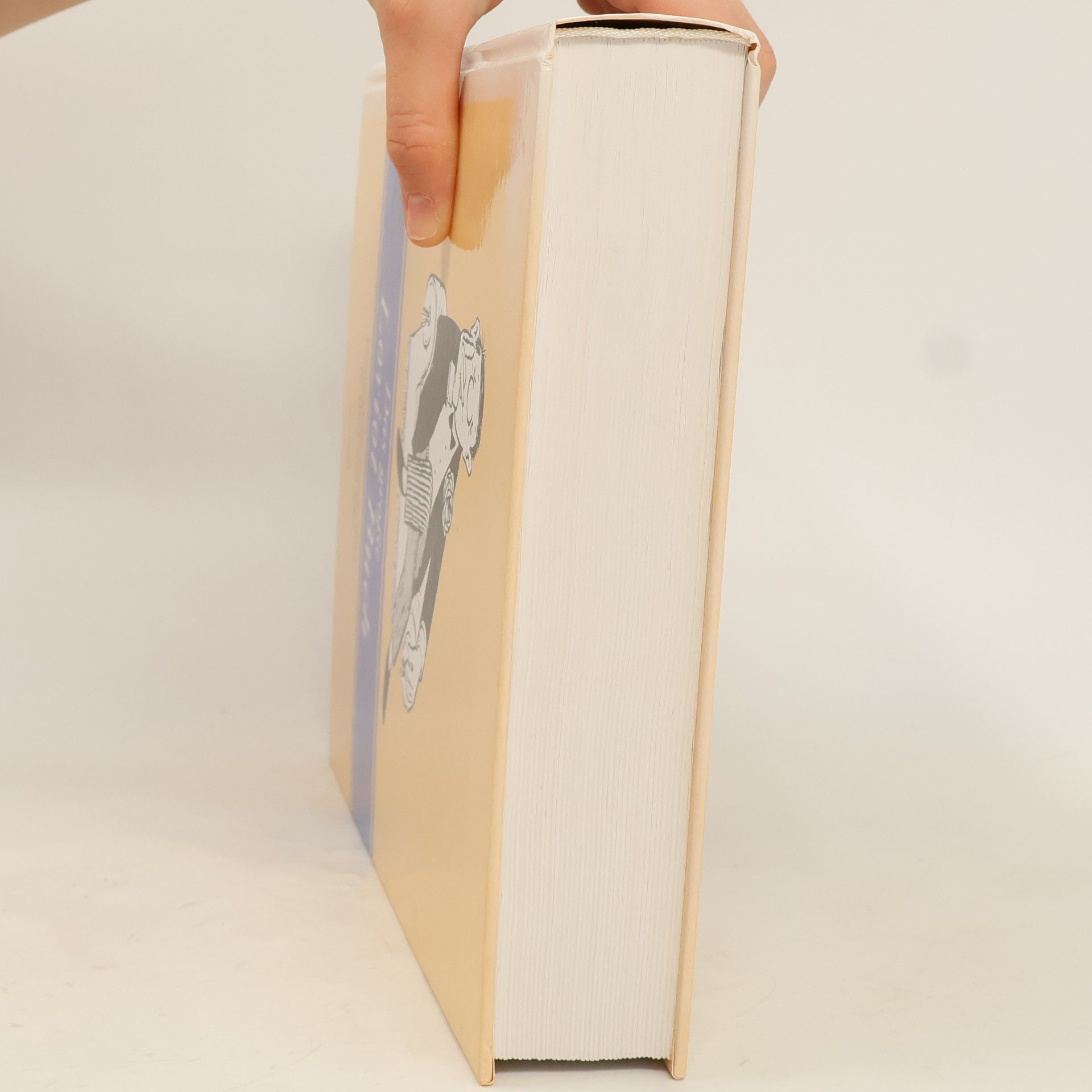 Loriot Das große Loriot-Buch