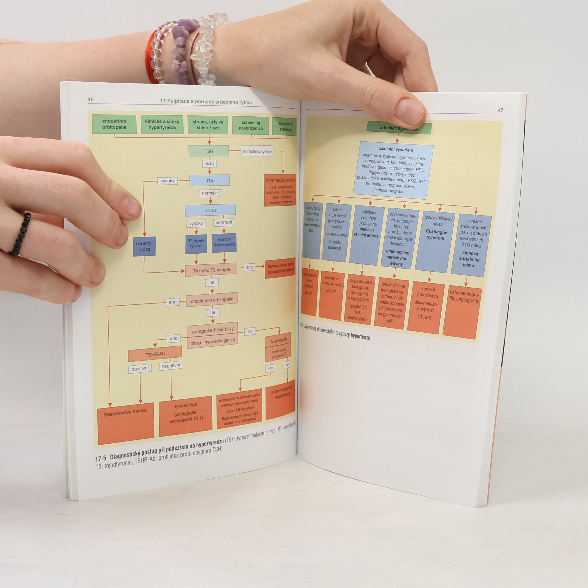 Kolektiv autorů Diferenciální diagnóza ve schématech