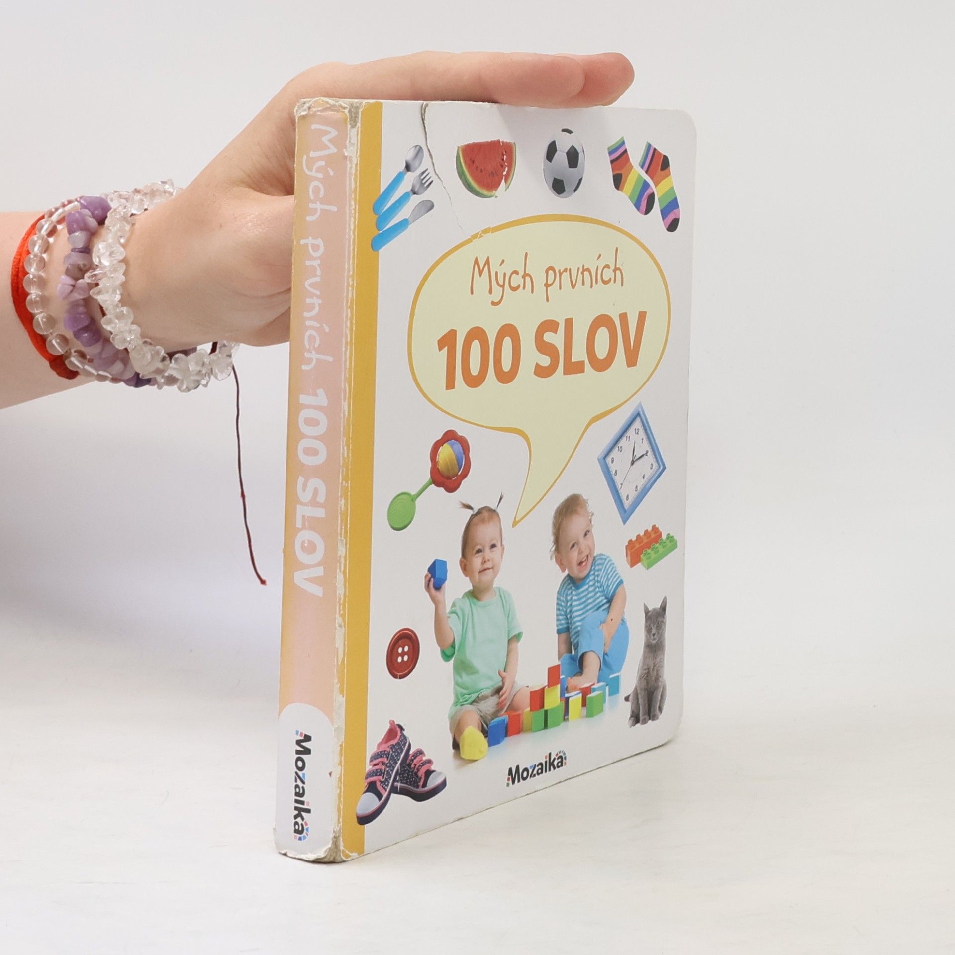 Autorenkollektiv Mých prvních 100 slov