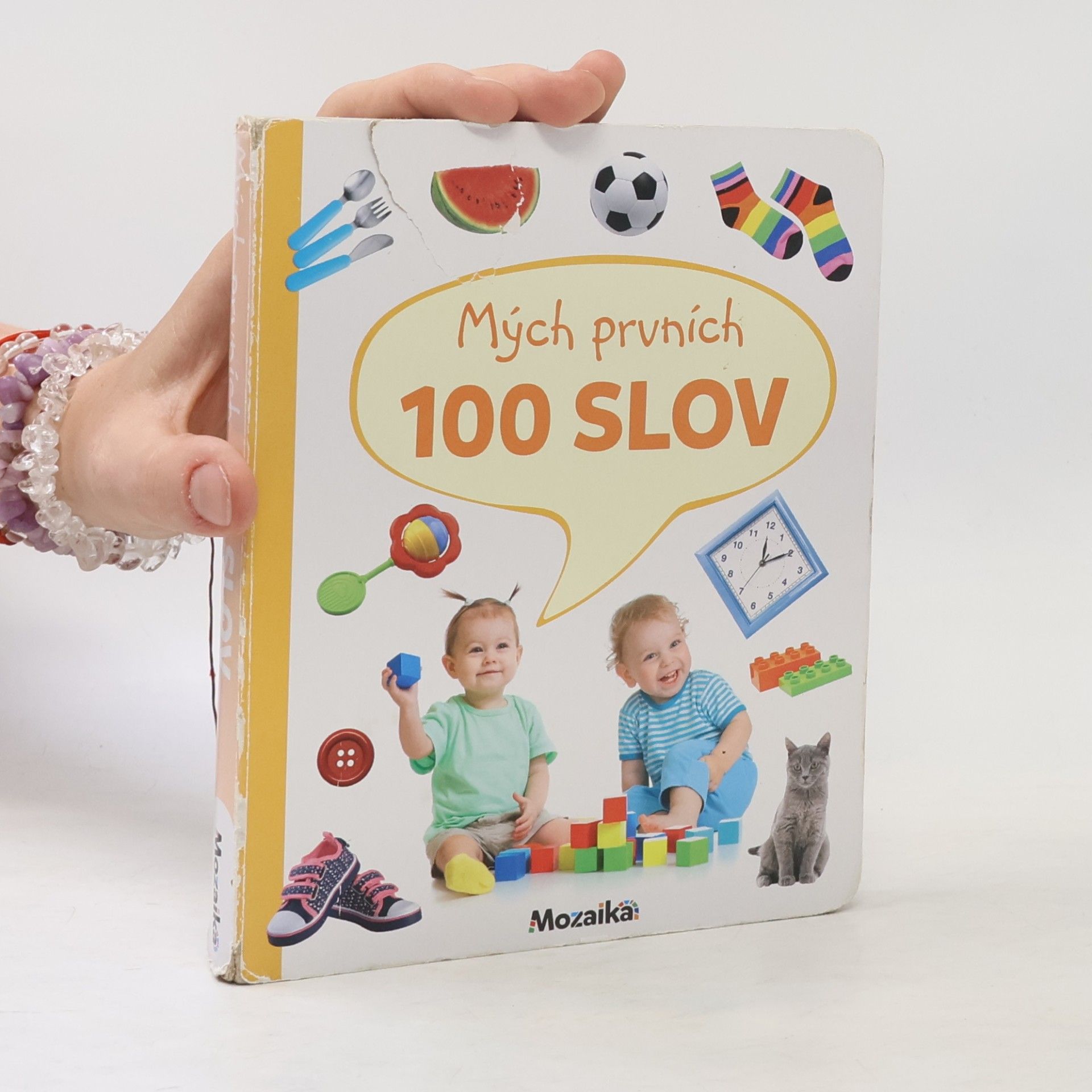 Autorenkollektiv Mých prvních 100 slov