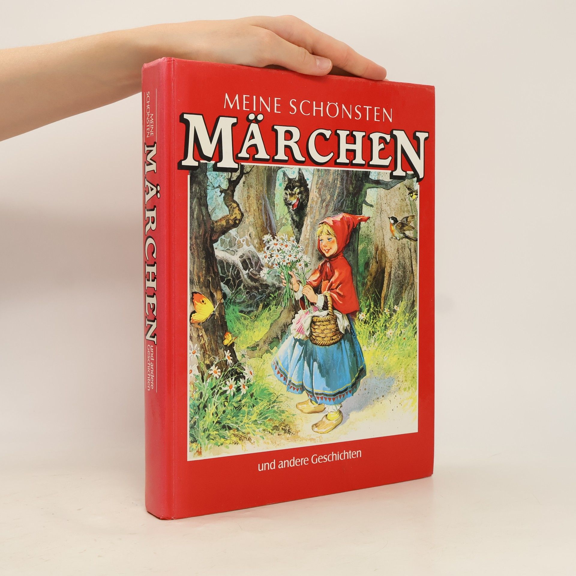 Autorenkollektiv Meine schönsten Märchen
