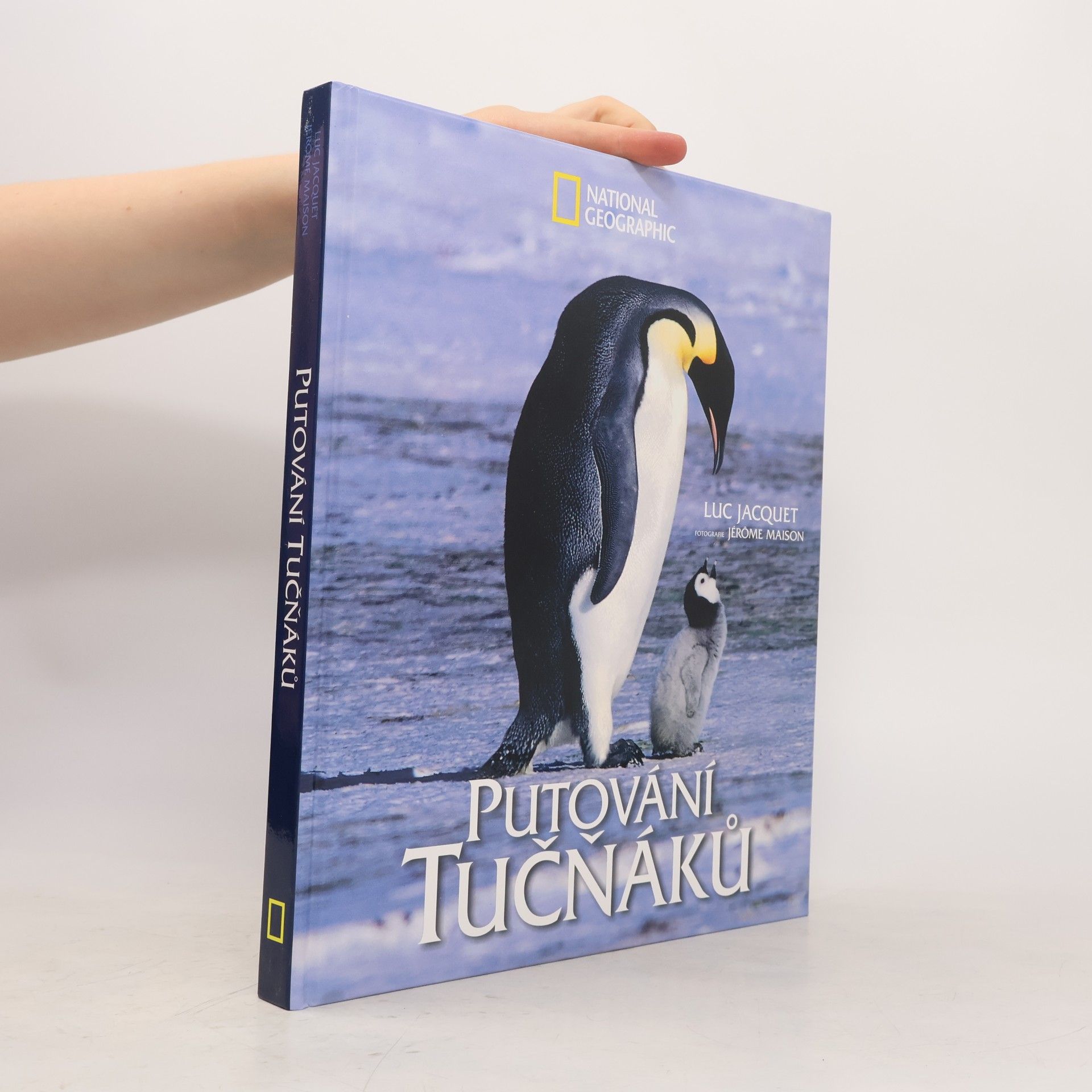Kolektiv autorů Putování tučňáků