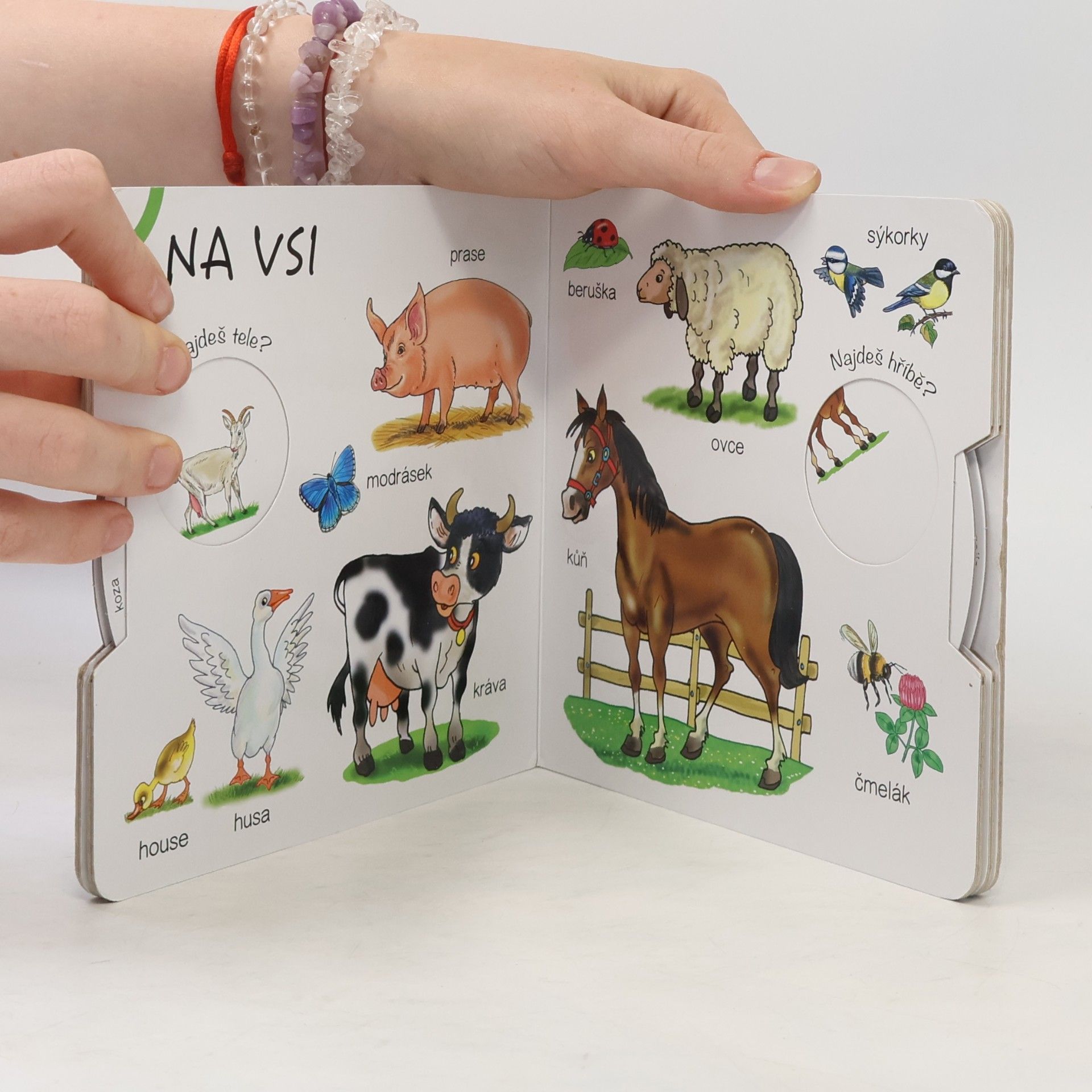 Antonín Šplíchal Naučná kolečka. Naše zvířata