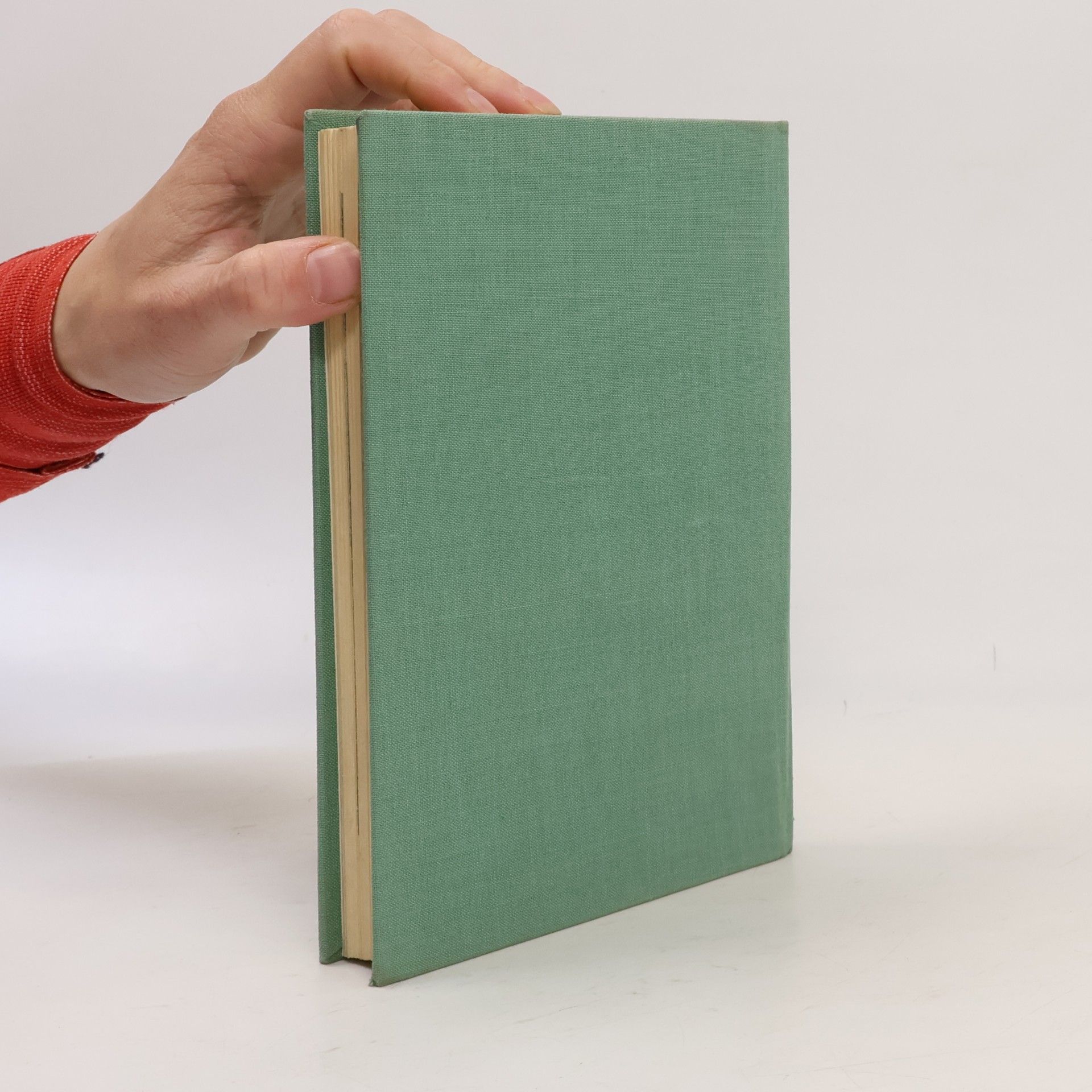 Autores varios Ve fotbalové brance