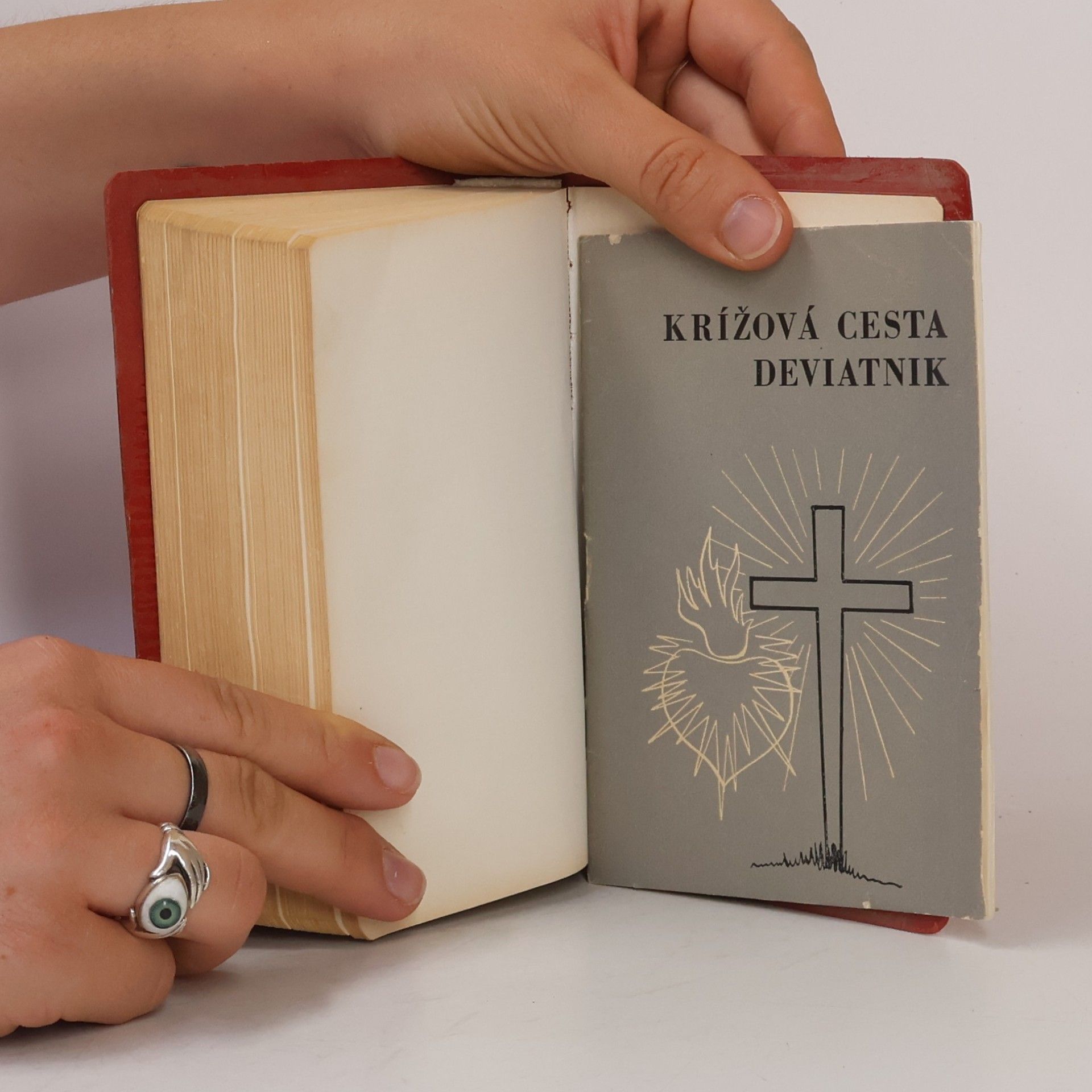 Kolektiv autorů Svatá biblia čiže celé Sväté písmo Starého i Nového zákona