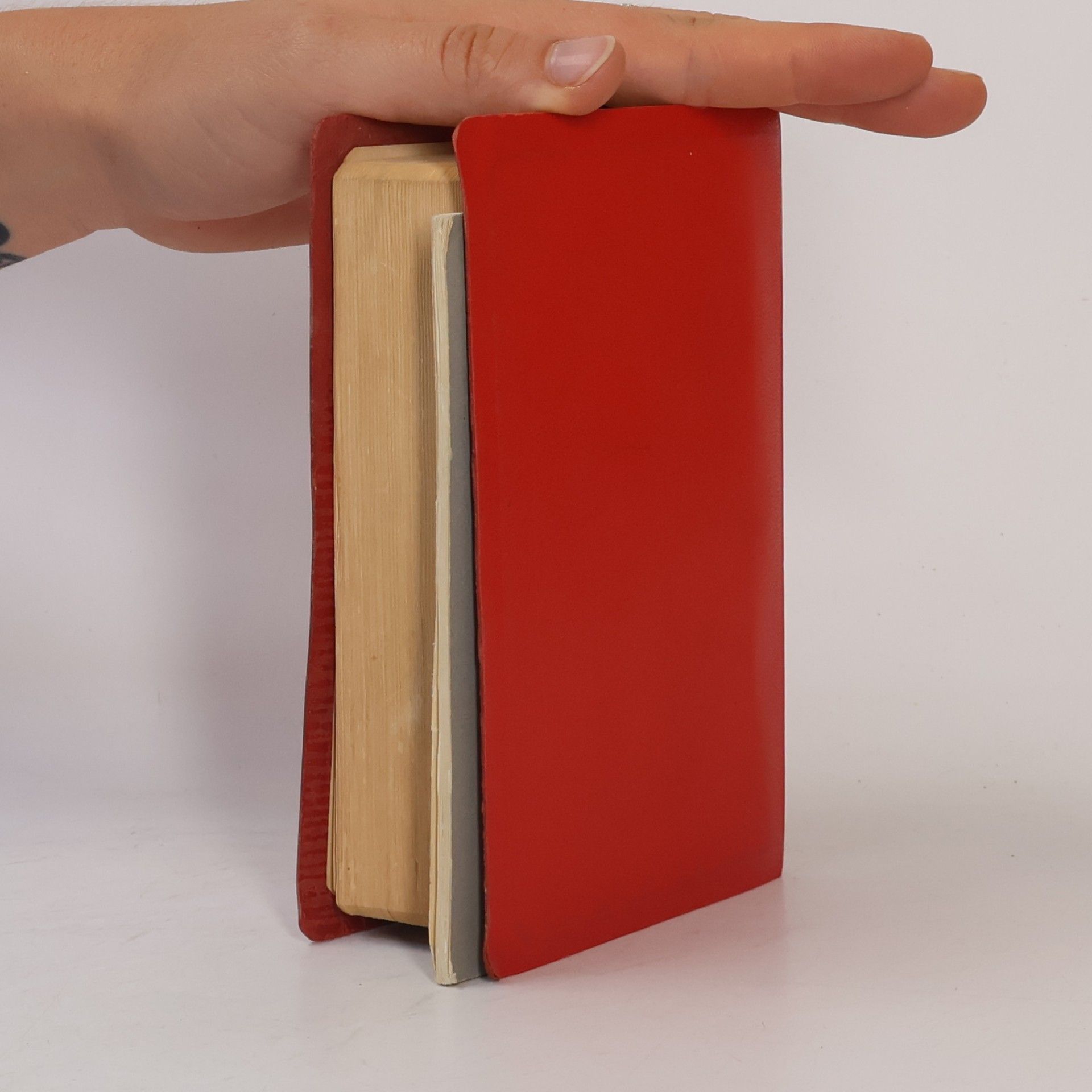 Kolektiv autorů Svatá biblia čiže celé Sväté písmo Starého i Nového zákona