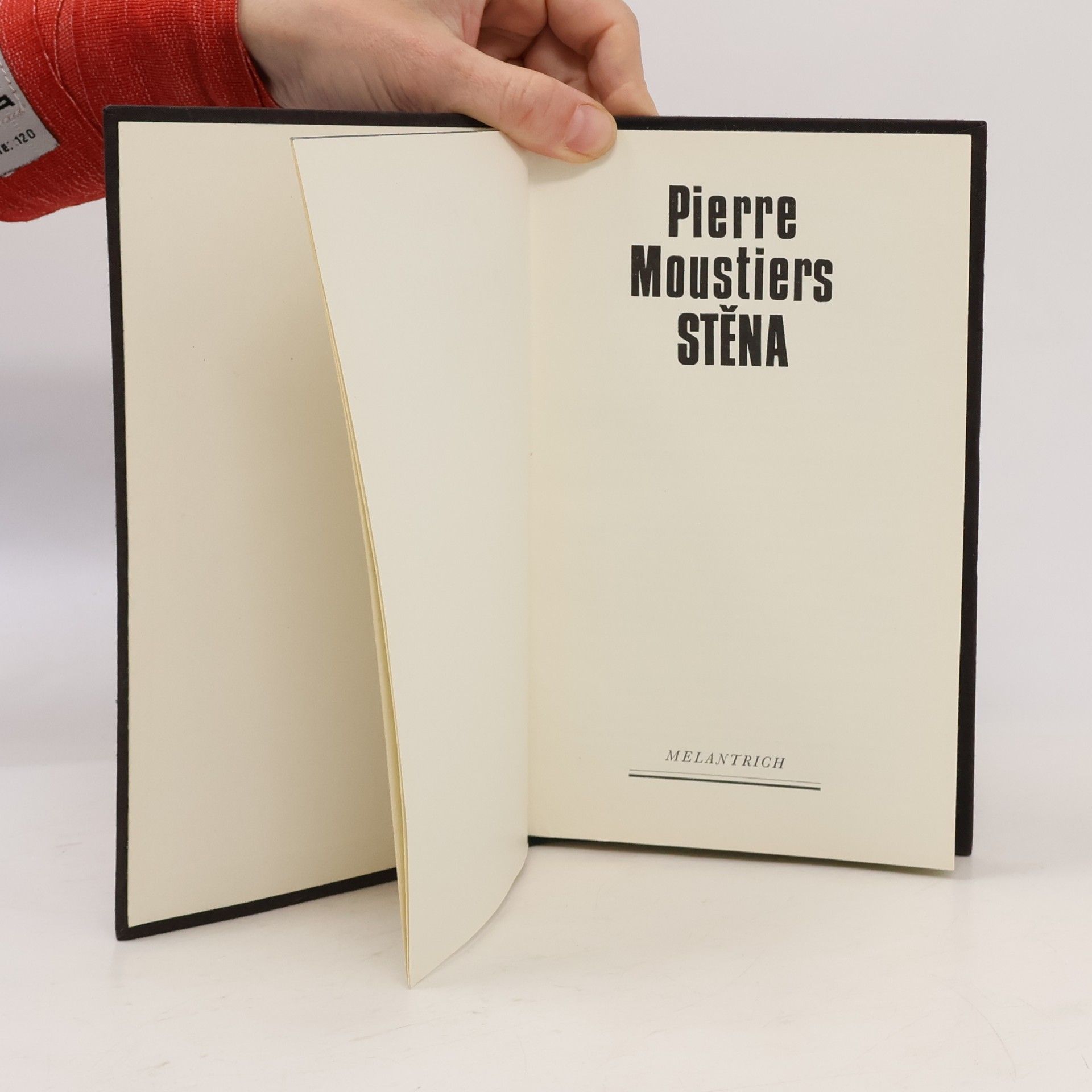 Pierre Moustiers Stěna