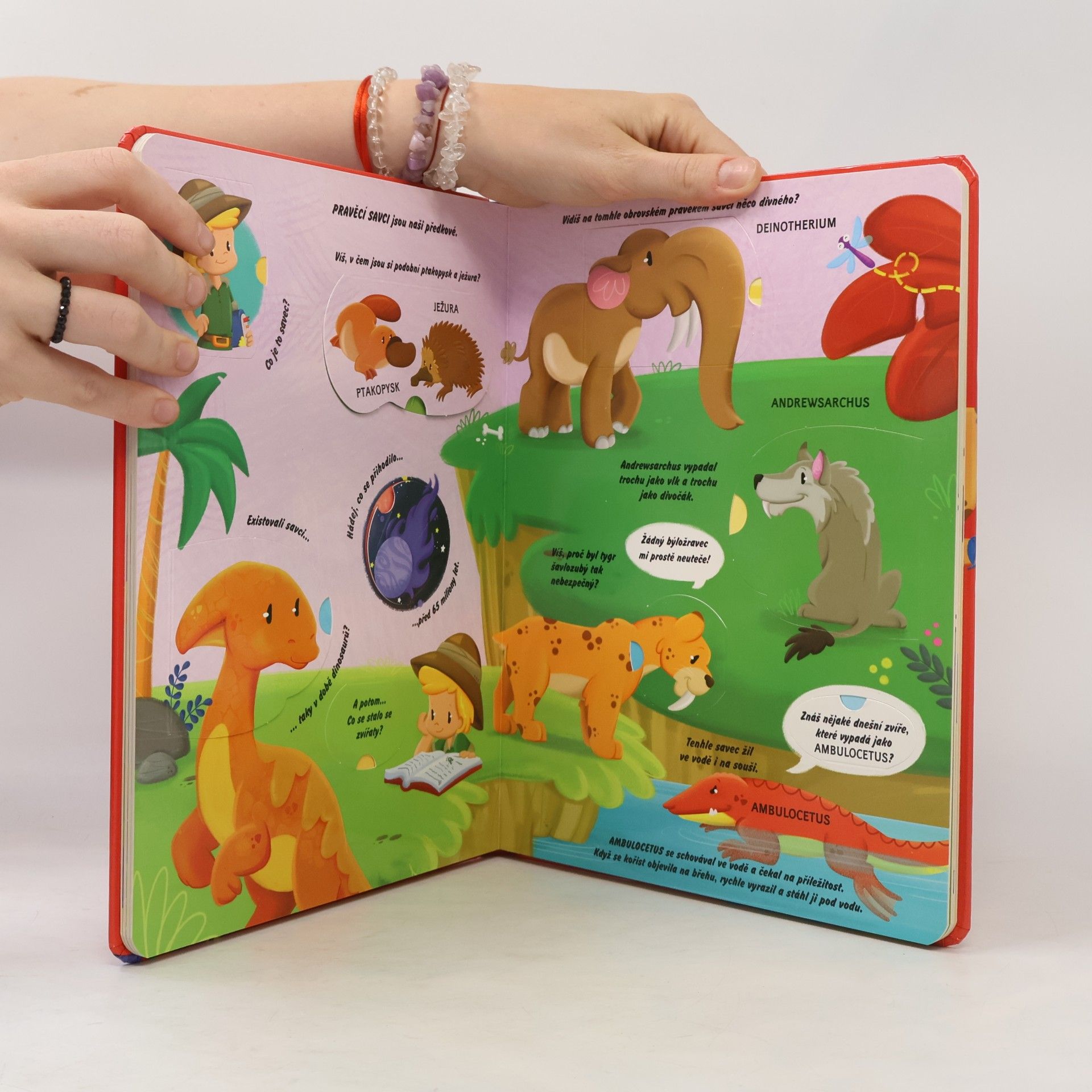Autorenkollektiv Okénková knížka - Prehistorická zvířata